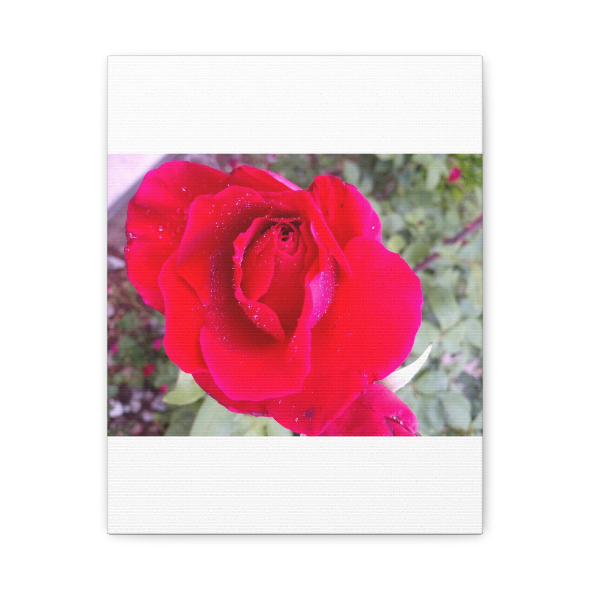 Vibrant Floral Canvas Art, Elegant Wall Decor, Perfect for Home, Gifts, Mother's Day, and Weddings