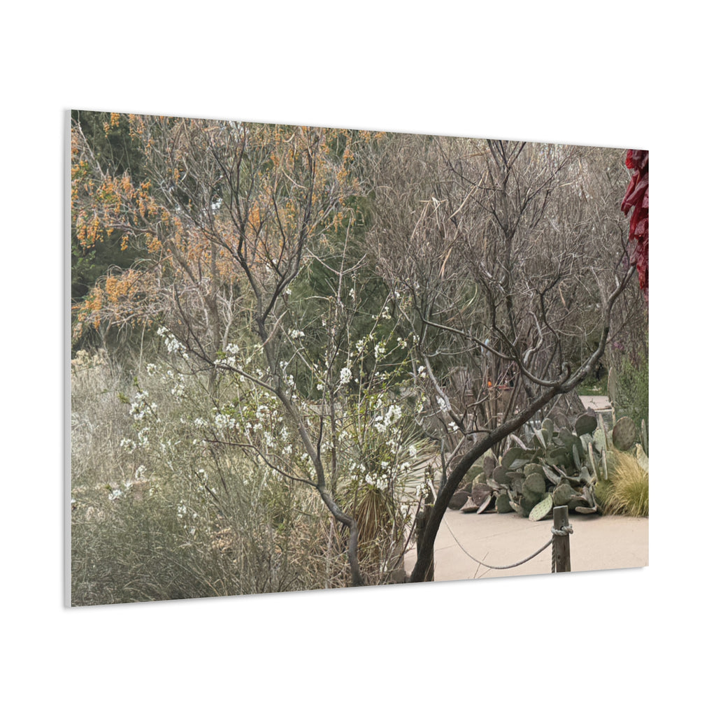 Classic Canvas Art Print, Bohemian Decor, Nature Wall Art, Home Gallery, Rustic Wall Decoration