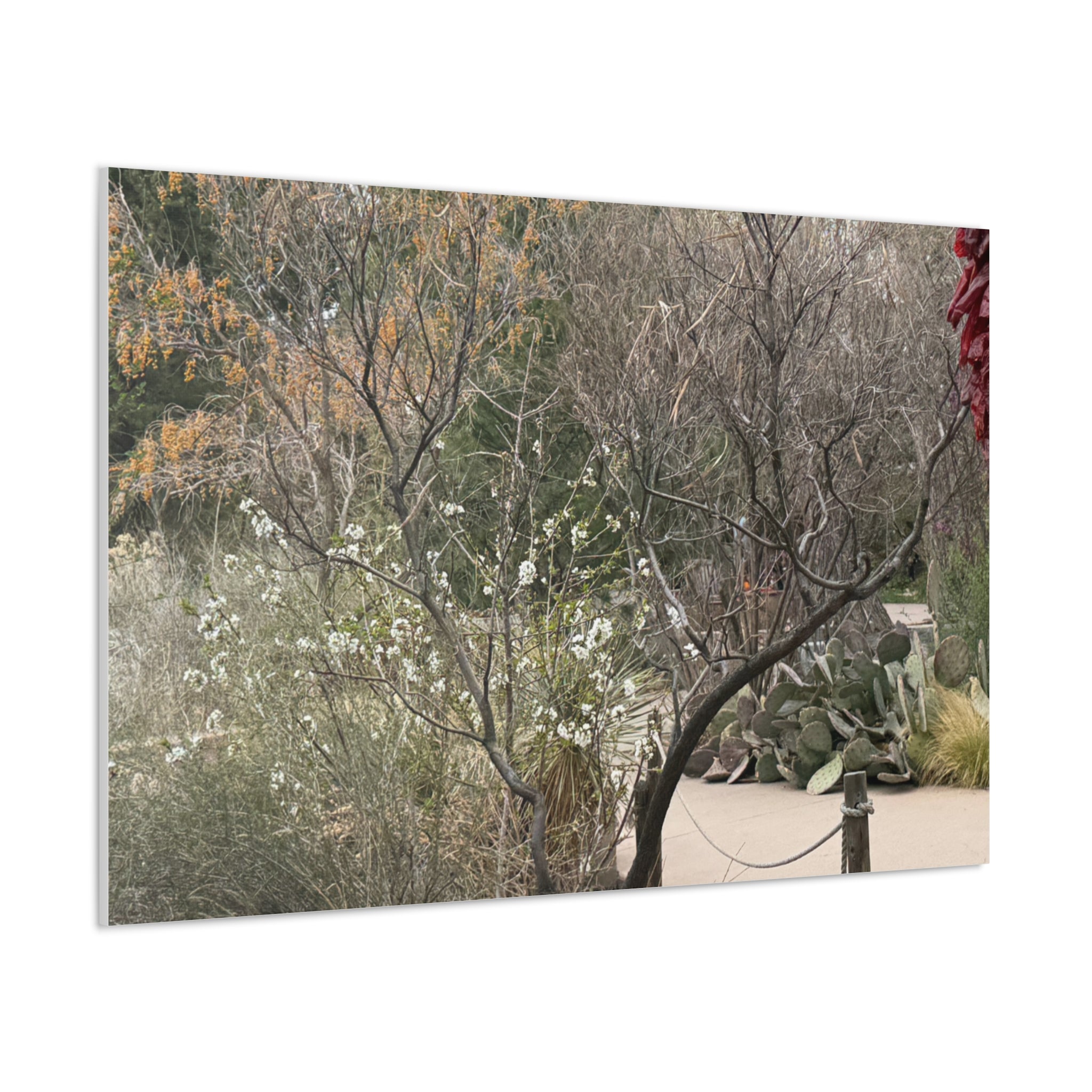 Classic Canvas Art Print, Bohemian Decor, Nature Wall Art, Home Gallery, Rustic Wall Decoration