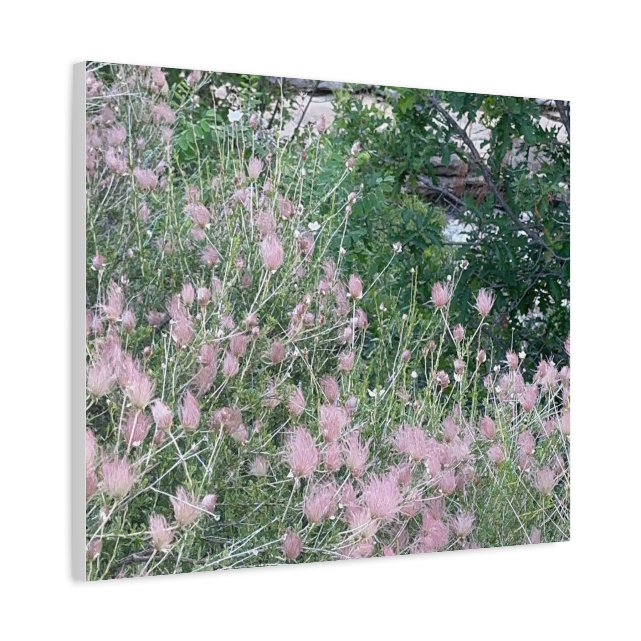 Floral Wall Art Canvas, Home Decor, Nature Lover Gift, Botanical Print, Spring Decor, Mother’s Day