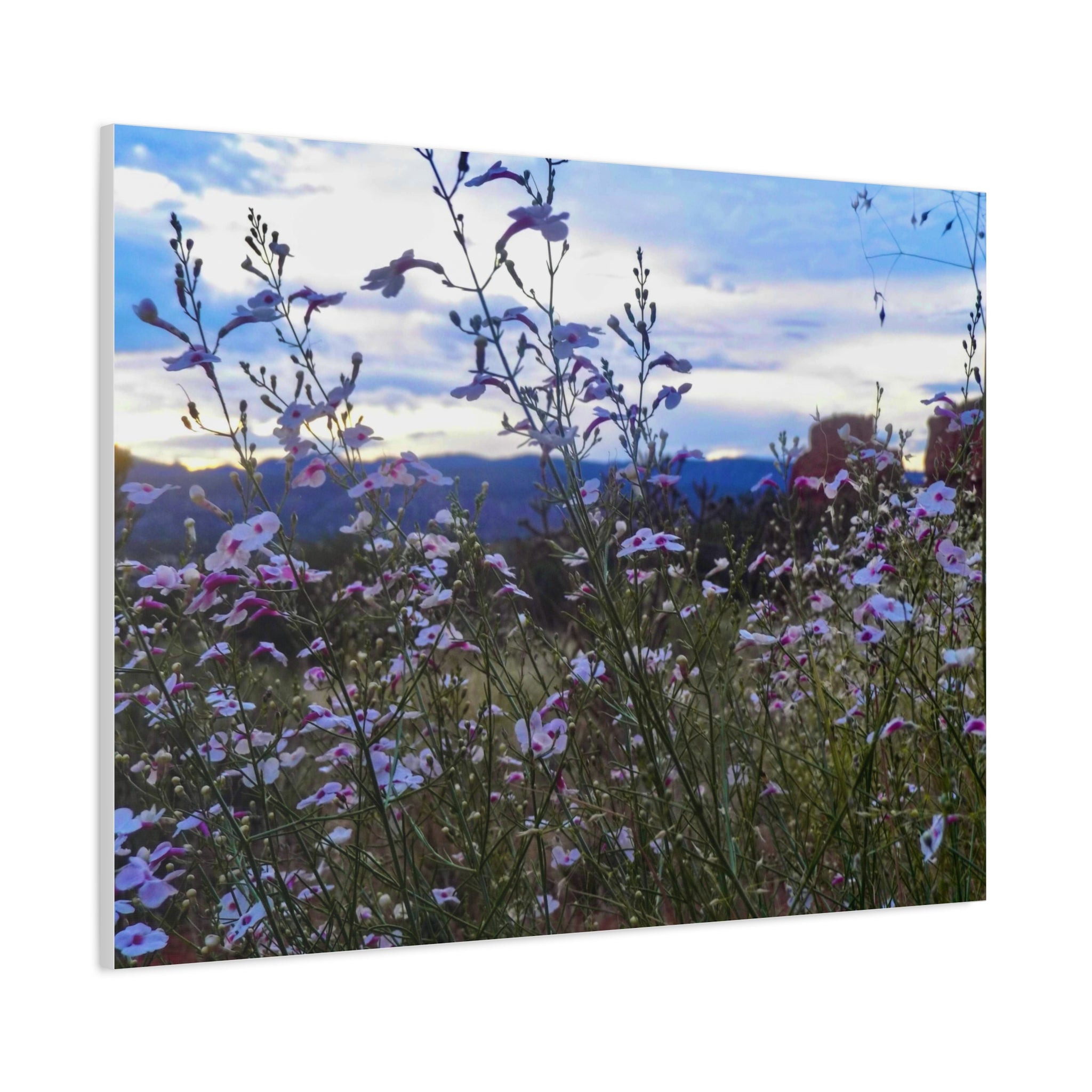 Floral Wall Art Canvas, Nature-Inspired Home Decor, Flower Print, Rustic Living Room, Gift for Gardeners, Boho Wall Art