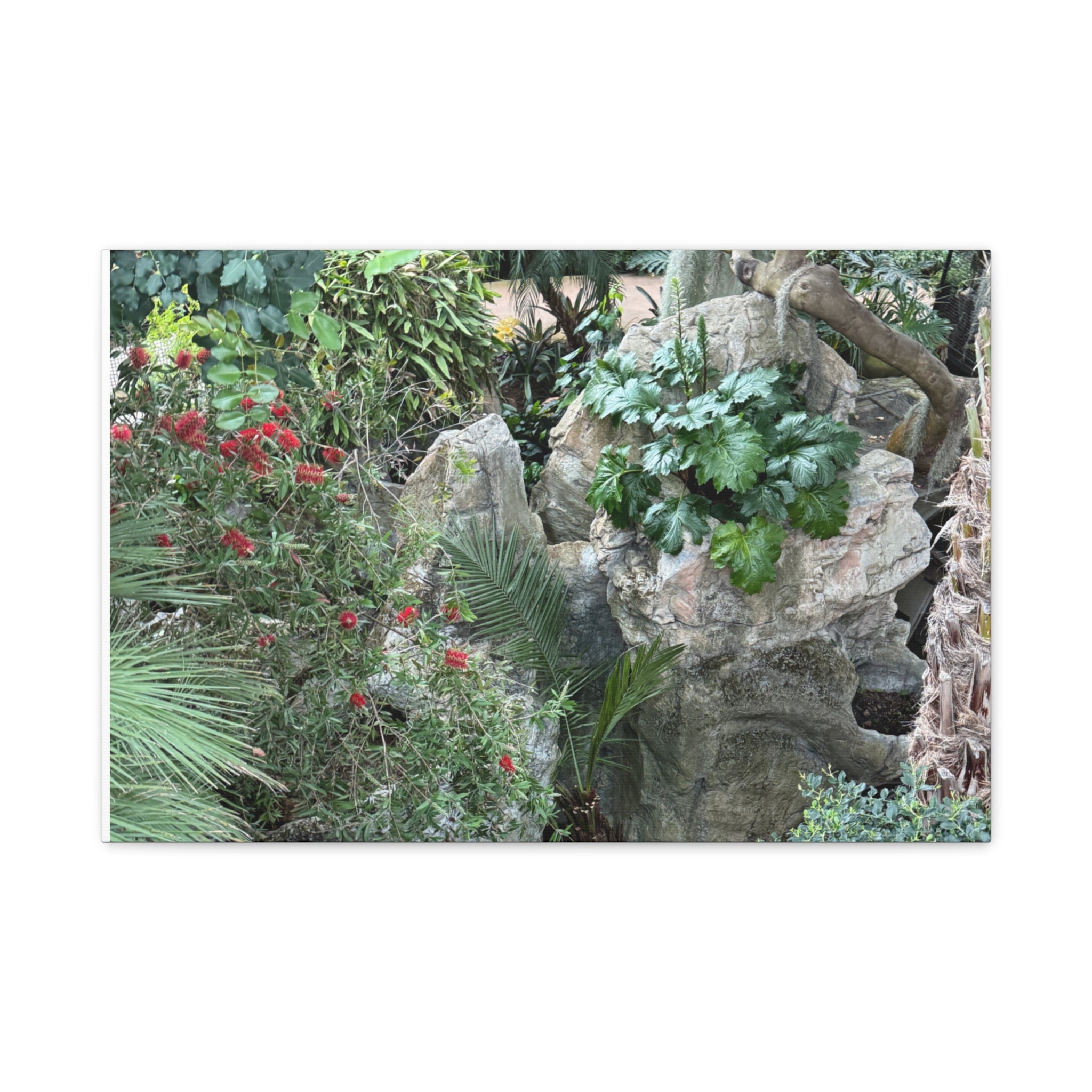 Nature-Inspired Wall Art, Canvas Print, Botanical Decor for Home, Greenery Art, Gift for Nature Lovers, Eco-Friendly Decoration