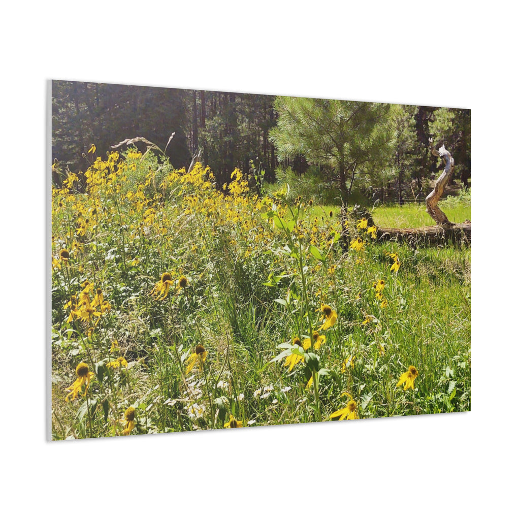 Canvas Wall Art, Nature Photography Decor, Floral Home Decor, Greenery Art Print, Gift for Nature Lovers