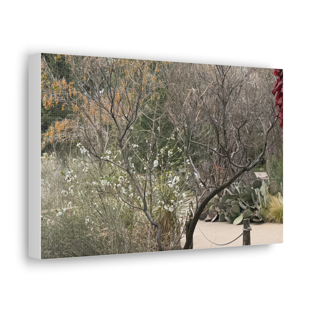 Classic Canvas Art Print, Bohemian Decor, Nature Wall Art, Home Gallery, Rustic Wall Decoration