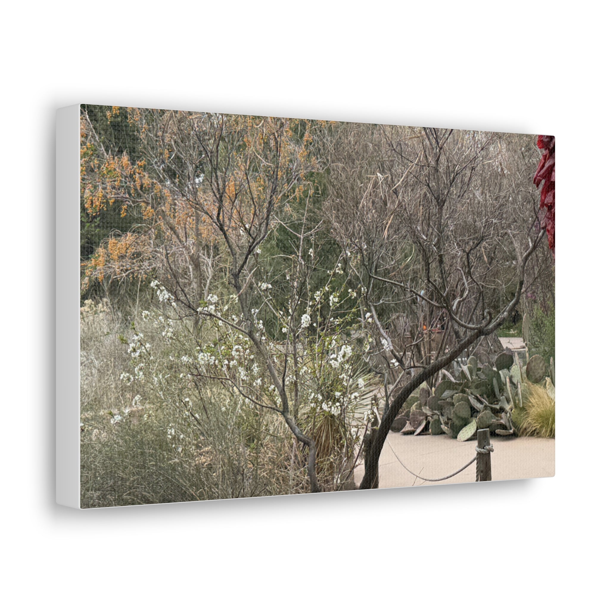 Classic Canvas Art Print, Bohemian Decor, Nature Wall Art, Home Gallery, Rustic Wall Decoration