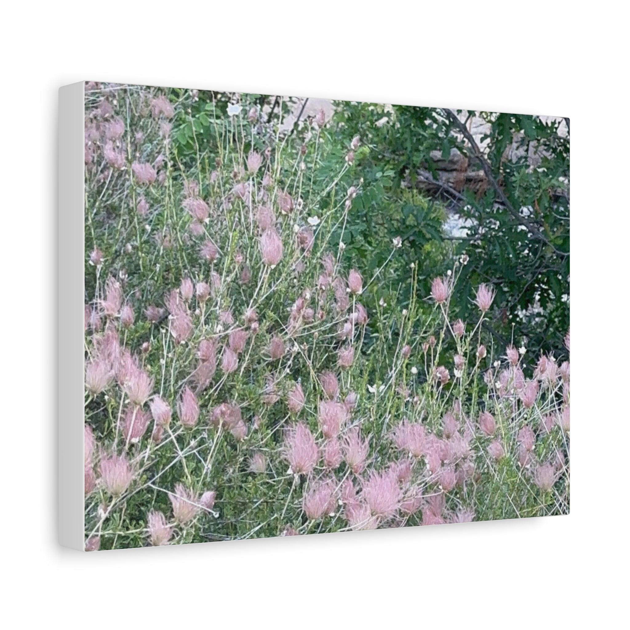 Floral Wall Art Canvas, Home Decor, Nature Lover Gift, Botanical Print, Spring Decor, Mother’s Day