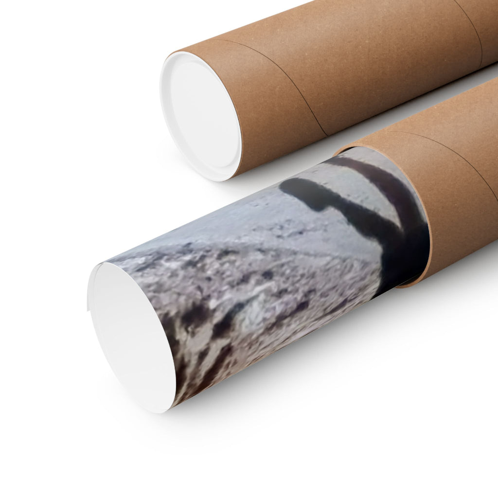 Scenic Vertical Wall Art Posters, Nature Photography Prints for Home Decor, Children Art, Gift for Nature Lovers, Adventure Decor