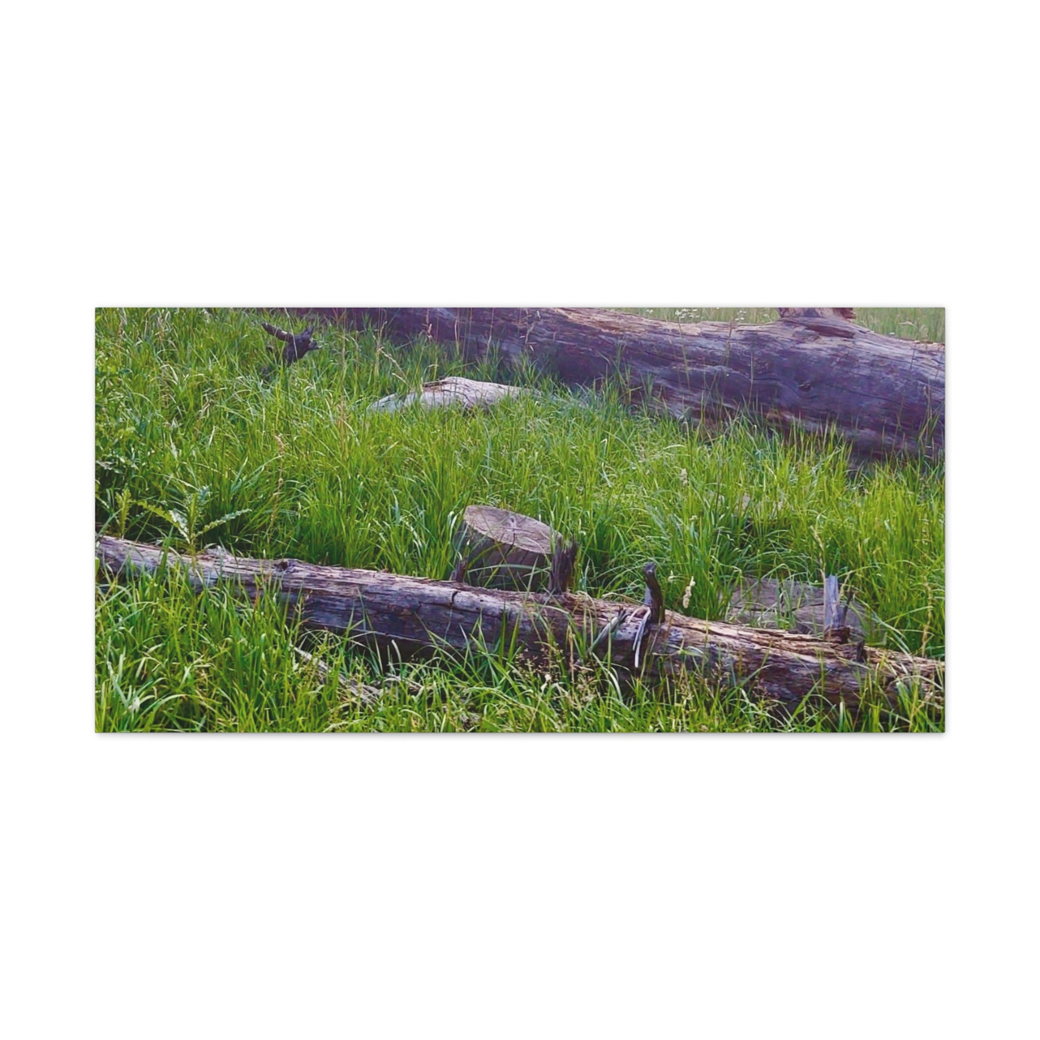 Classic Canvas Wall Art - Nature Decor, Outdoor Wall Hanging, Home Aesthetic, Gift for Nature Lovers, Rustic Cabin Decor