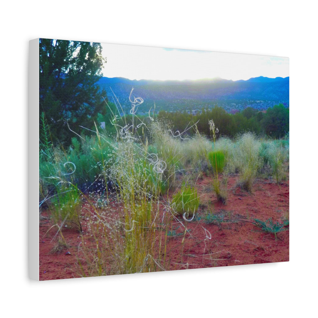 Stretched Canvas Art Print, Nature Wall Decor, Boho Home Decor, Rustic Landscape Art, Gift for Nature Lovers