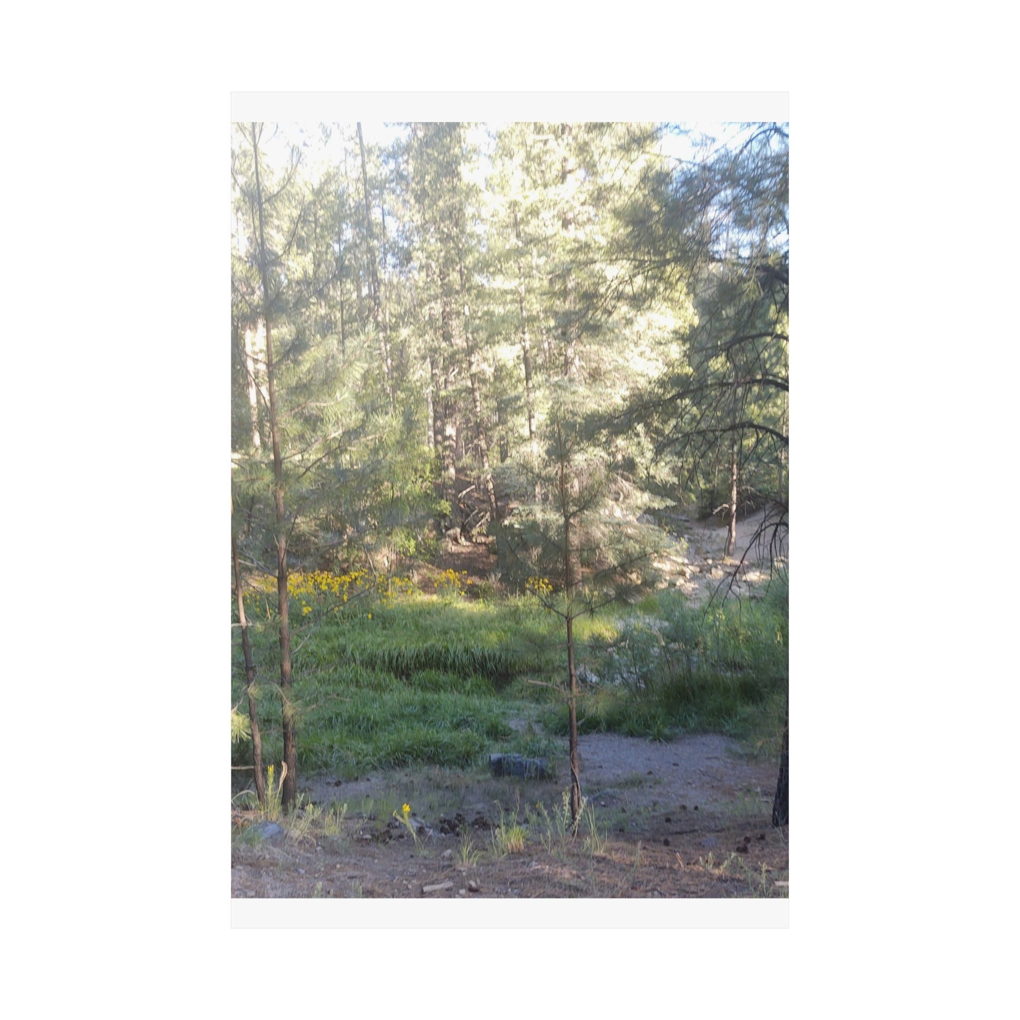 Nature-Inspired Matte Vertical Posters, Wall Art Prints, Home Decor, Aesthetic Decor, Nature Photography, Botanical Wall Art