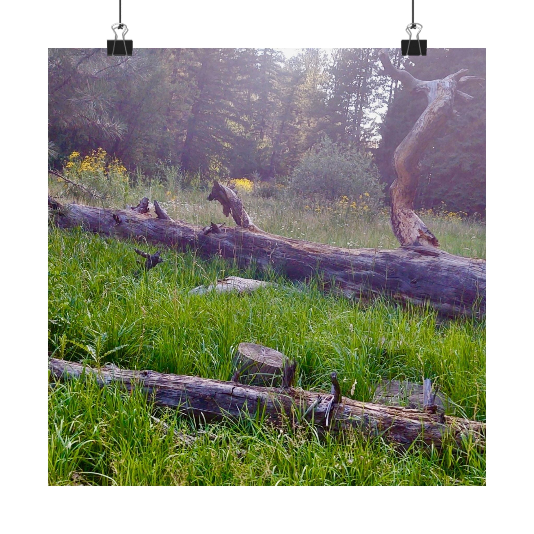 Nature-Inspired Matte Vertical Posters, Wall Art Decor, Forest Photo Prints, Home Aesthetic, Gift for Nature Lovers