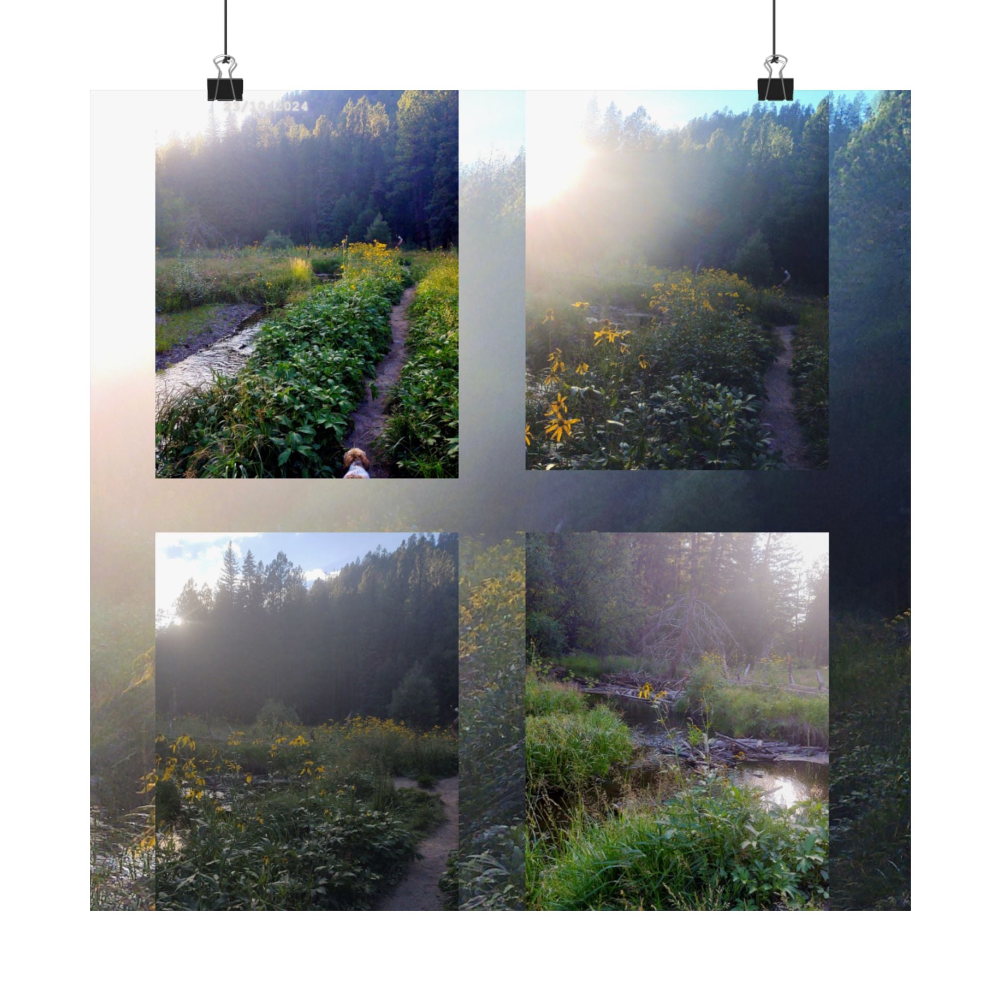 Nature-Inspired Matte Vertical Posters | Wall Art, Home Decor, Landscape Photography, Gift for Nature Lovers, Eco-Friendly Decor