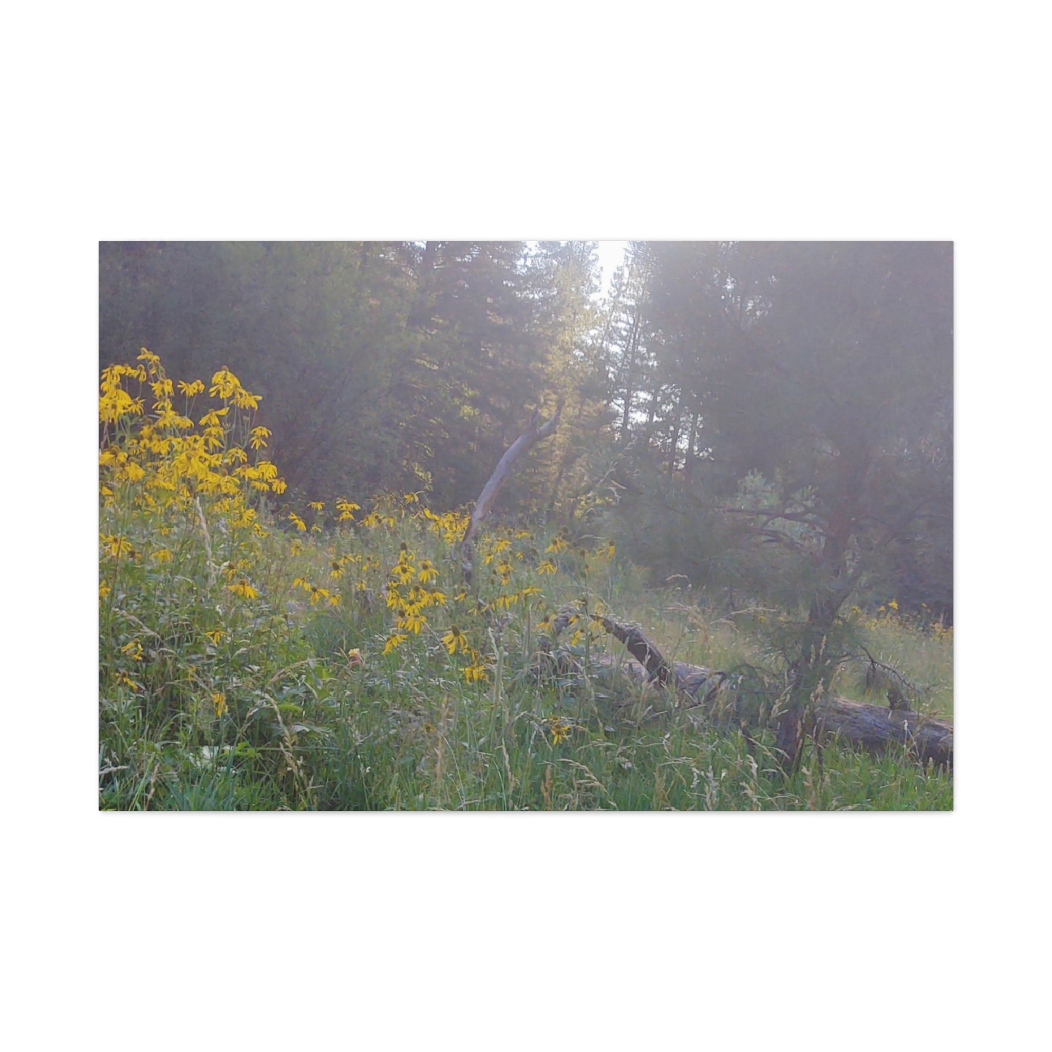 Matte Canvas, Stretched, 1.25"