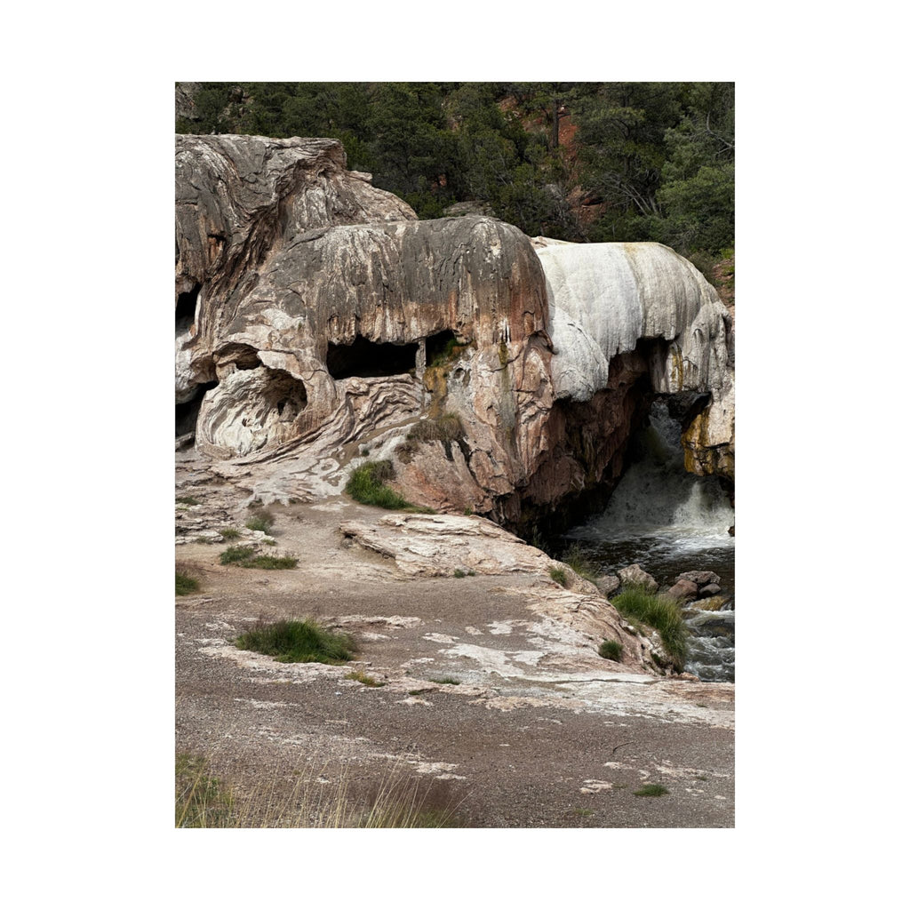 Nature-Inspired Matte Vertical Poster, Landscape Wall Art, Home Decor, Unique Gift, Rustic Vibe, Earthy Aesthetic