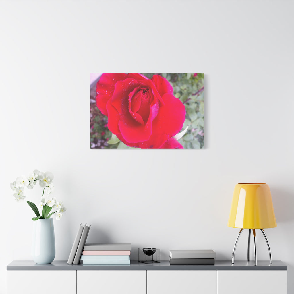 Vibrant Floral Canvas Art, Elegant Wall Decor, Perfect for Home, Gifts, Mother's Day, and Weddings