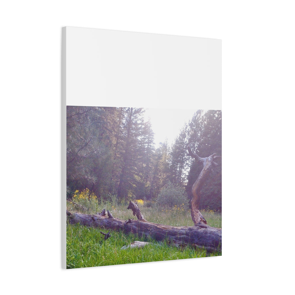 Matte Canvas Wall Art - Serene Nature Scene, Perfect for Home Decor, Gift for Nature Lovers, Office Wall Decoration, Rustic Art Print