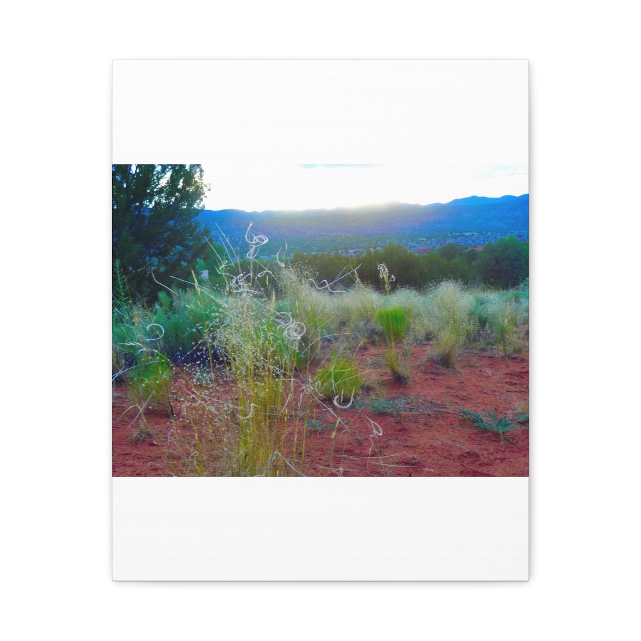 Stretched Canvas Art Print, Nature Wall Decor, Boho Home Decor, Rustic Landscape Art, Gift for Nature Lovers