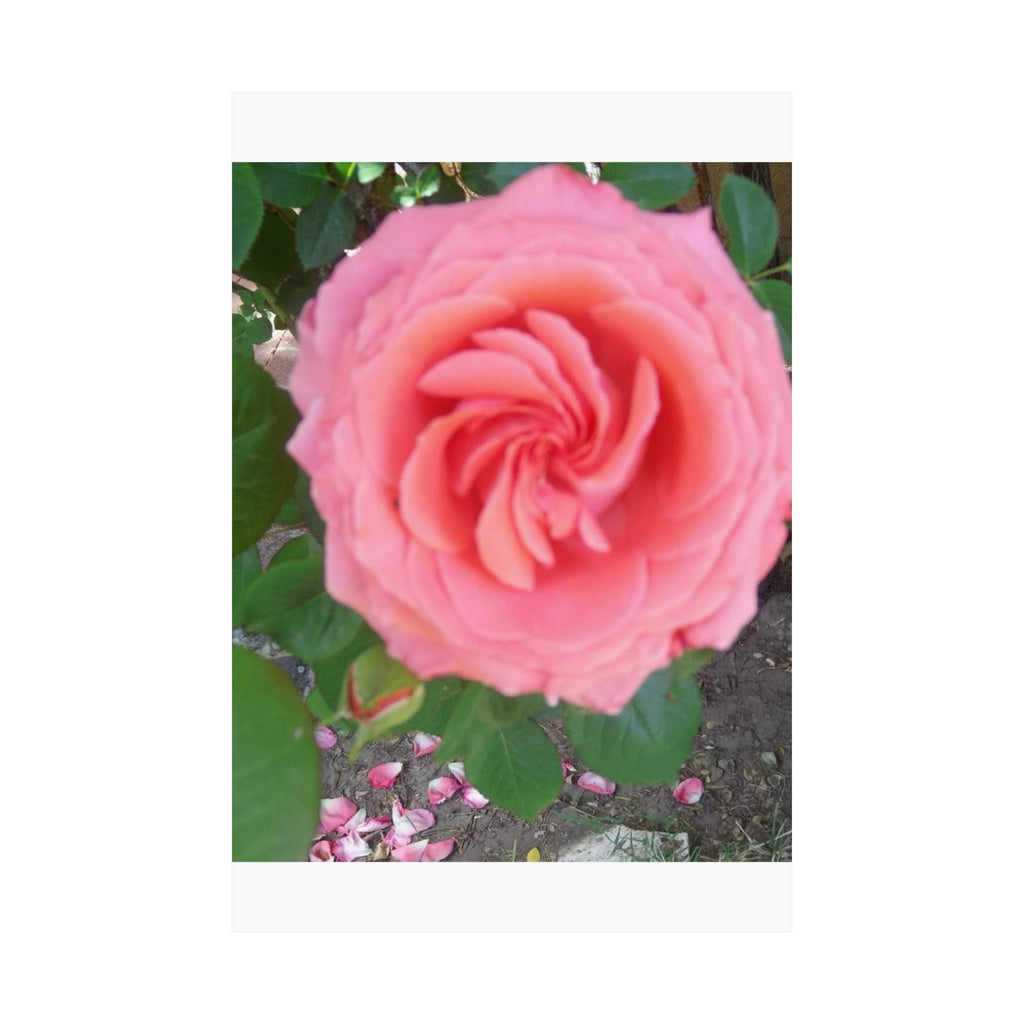 Beautiful Pink Rose Vertical Poster – Floral Wall Art, Home Decor, Gift for Her, Botanical Print, Mother's Day Decoration