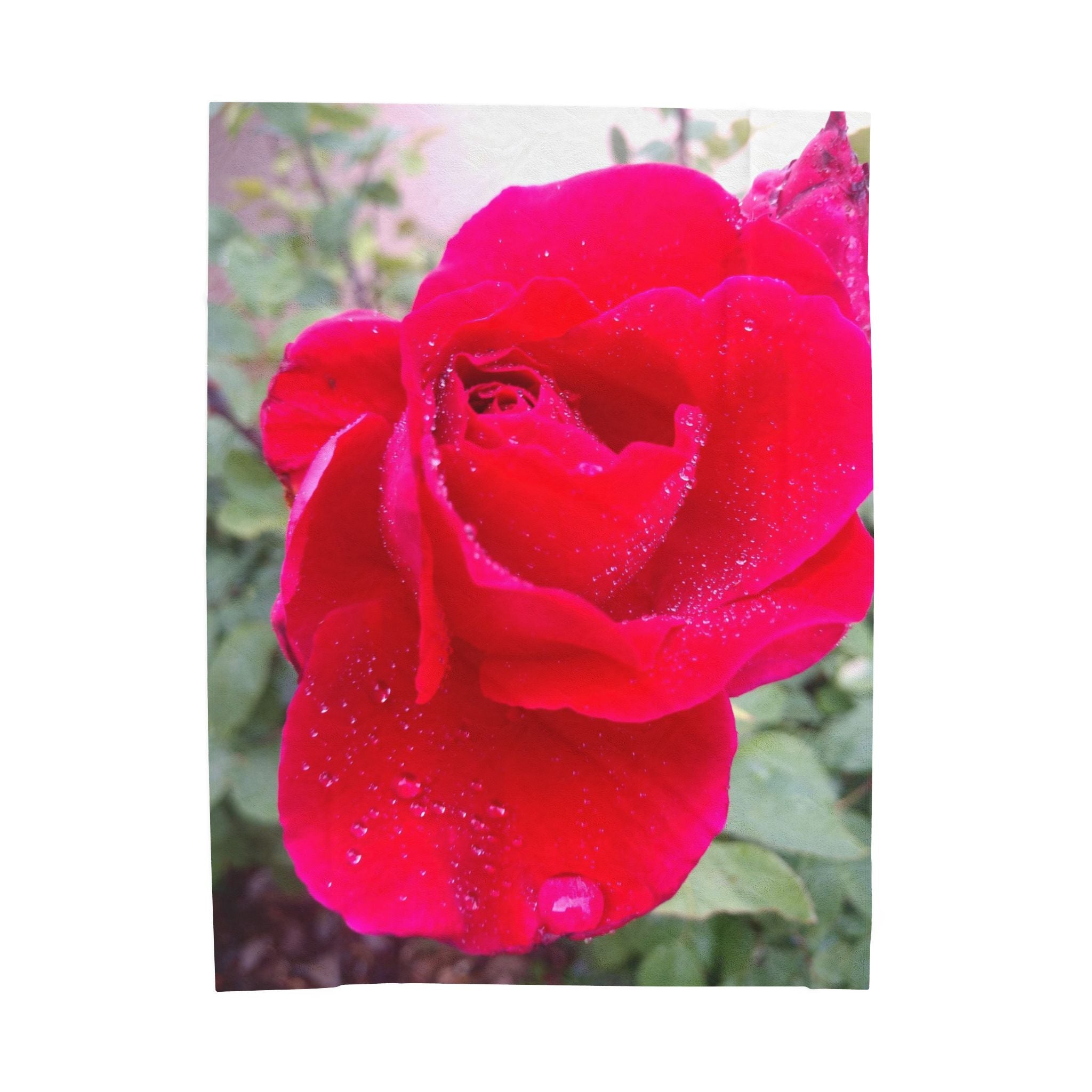 Cozy Floral Velveteen Plush Blanket - Perfect for Relaxation, Home Décor, Gifts, and Special Occasions