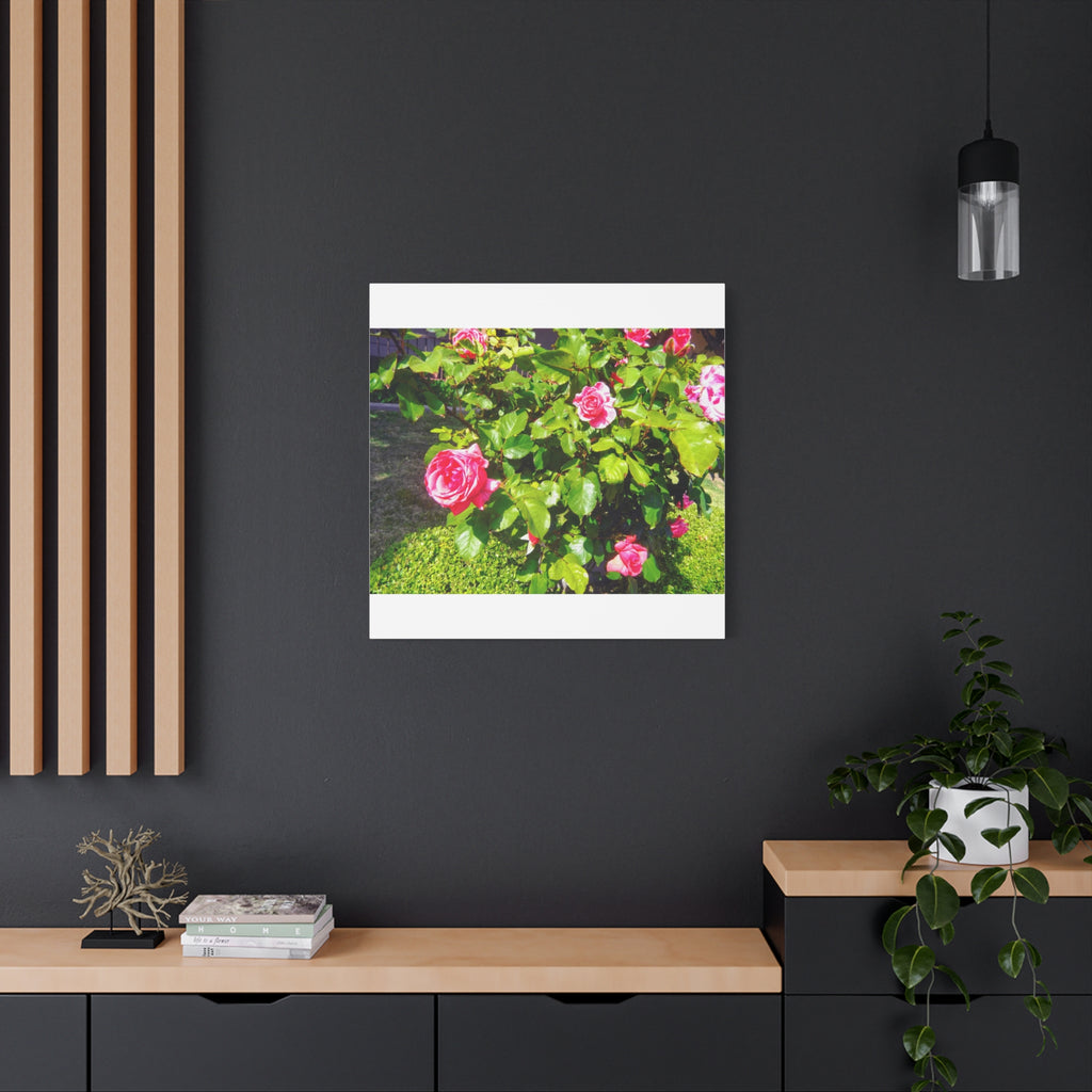 Floral Canvas Wall Art, Pink Rose Decor, Home Gallery Piece, Flower Photography, Garden Wall Decor, Floral Print