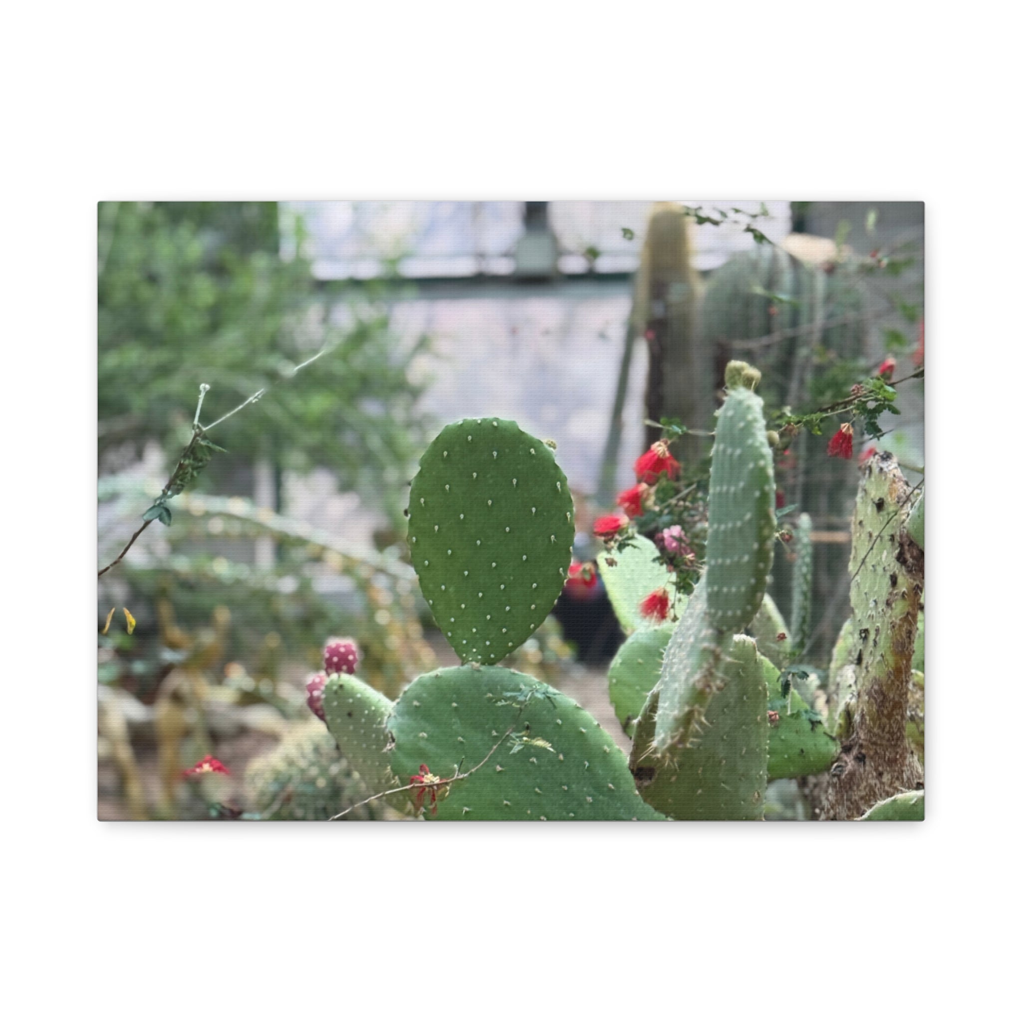 Cactus Matte Canvas Wall Art, Nature Decor, Southwestern Room Design, Green Plant Prints, Home and Office Wall Decor