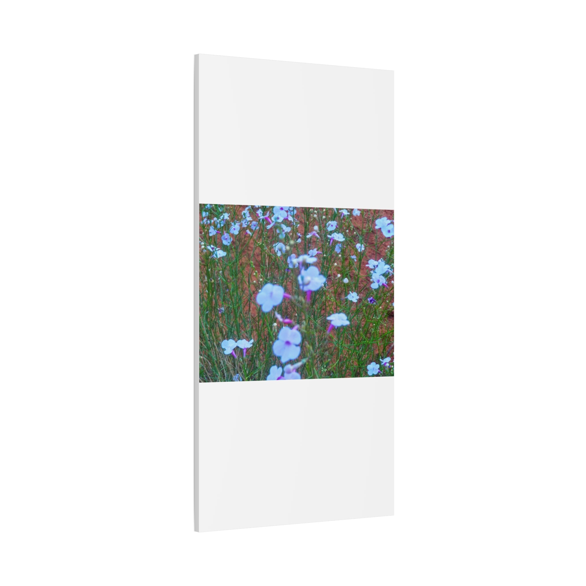 Floral Canvas Wall Art, Home Decor, Wall Hanging, Gift Idea, Nature Art, Flower Print
