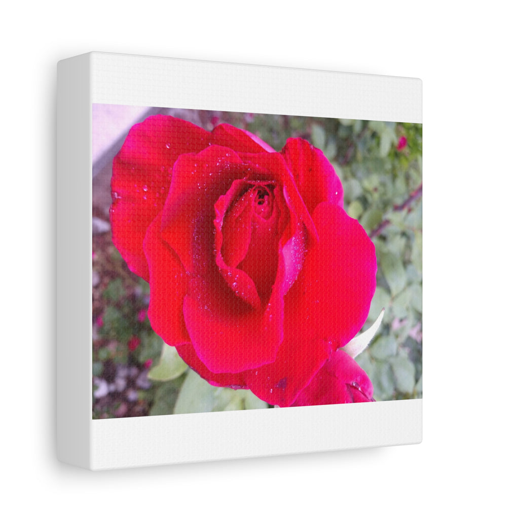 Vibrant Floral Canvas Art, Elegant Wall Decor, Perfect for Home, Gifts, Mother's Day, and Weddings