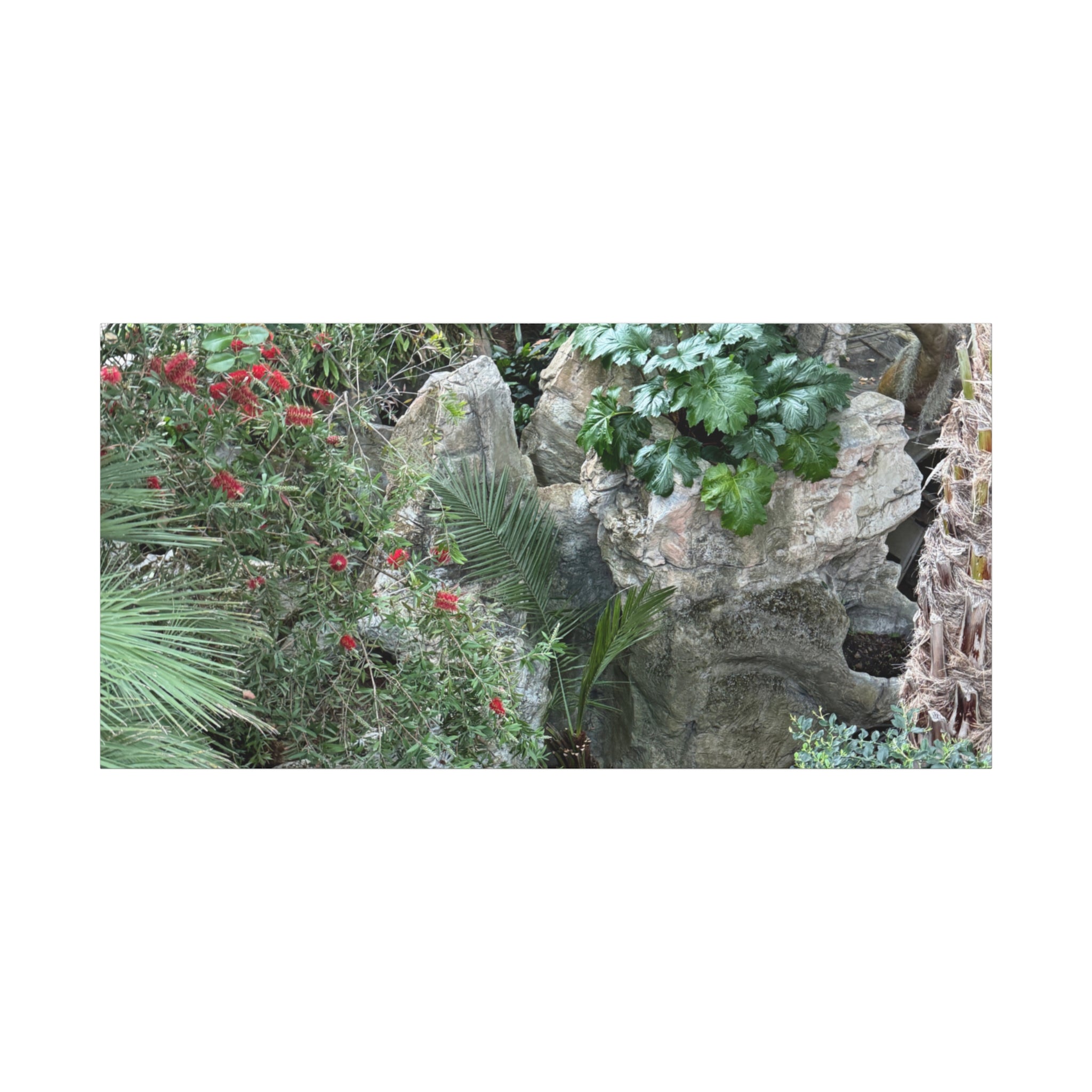 Garden Landscape Canvas Wall Art, Nature Decor, Home Decoration, Gift for Nature Lovers, Eco-Friendly Art, Botanical Wall Decor