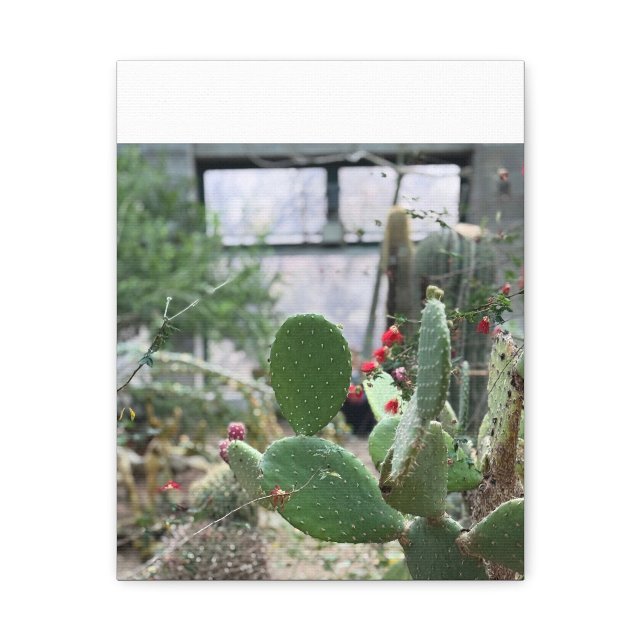 Cactus Matte Canvas Wall Art, Nature Decor, Southwestern Room Design, Green Plant Prints, Home and Office Wall Decor