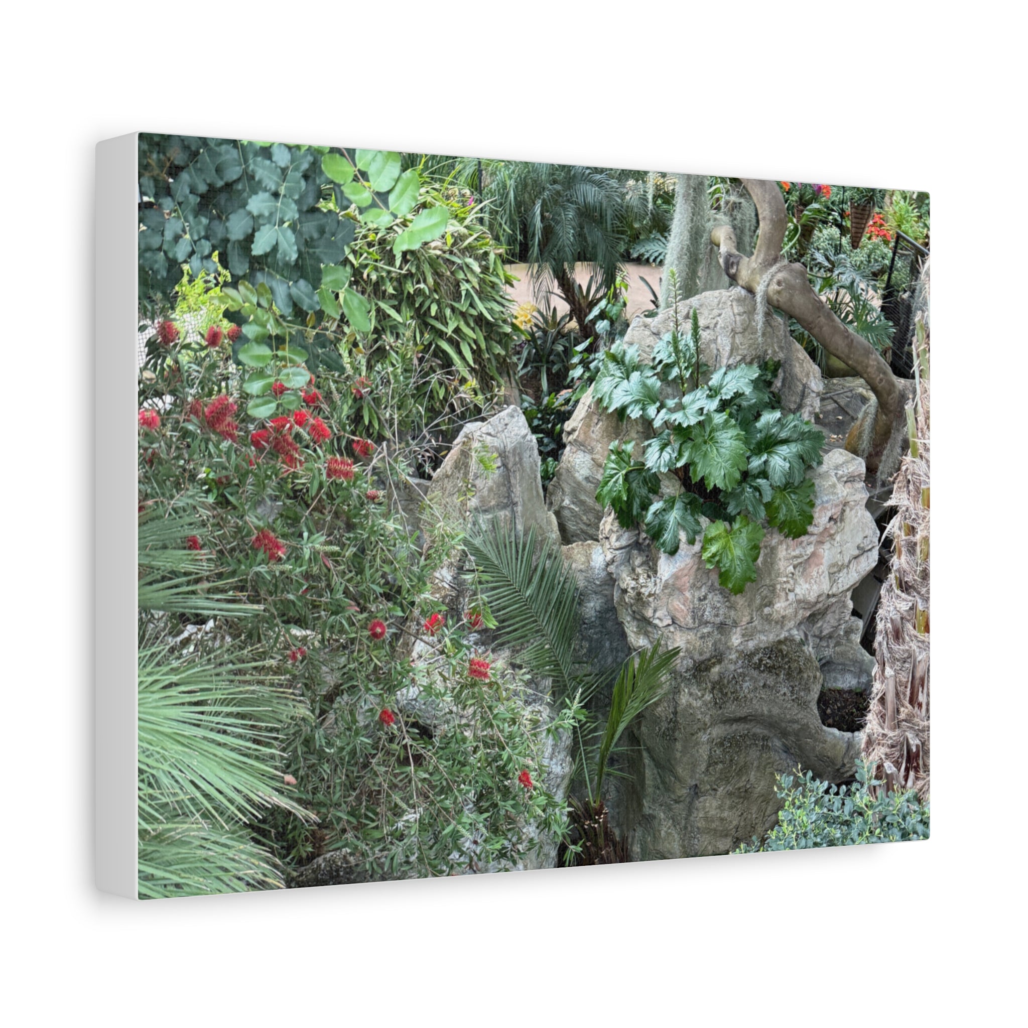 Garden Landscape Canvas Wall Art, Nature Decor, Home Decoration, Gift for Nature Lovers, Eco-Friendly Art, Botanical Wall Decor
