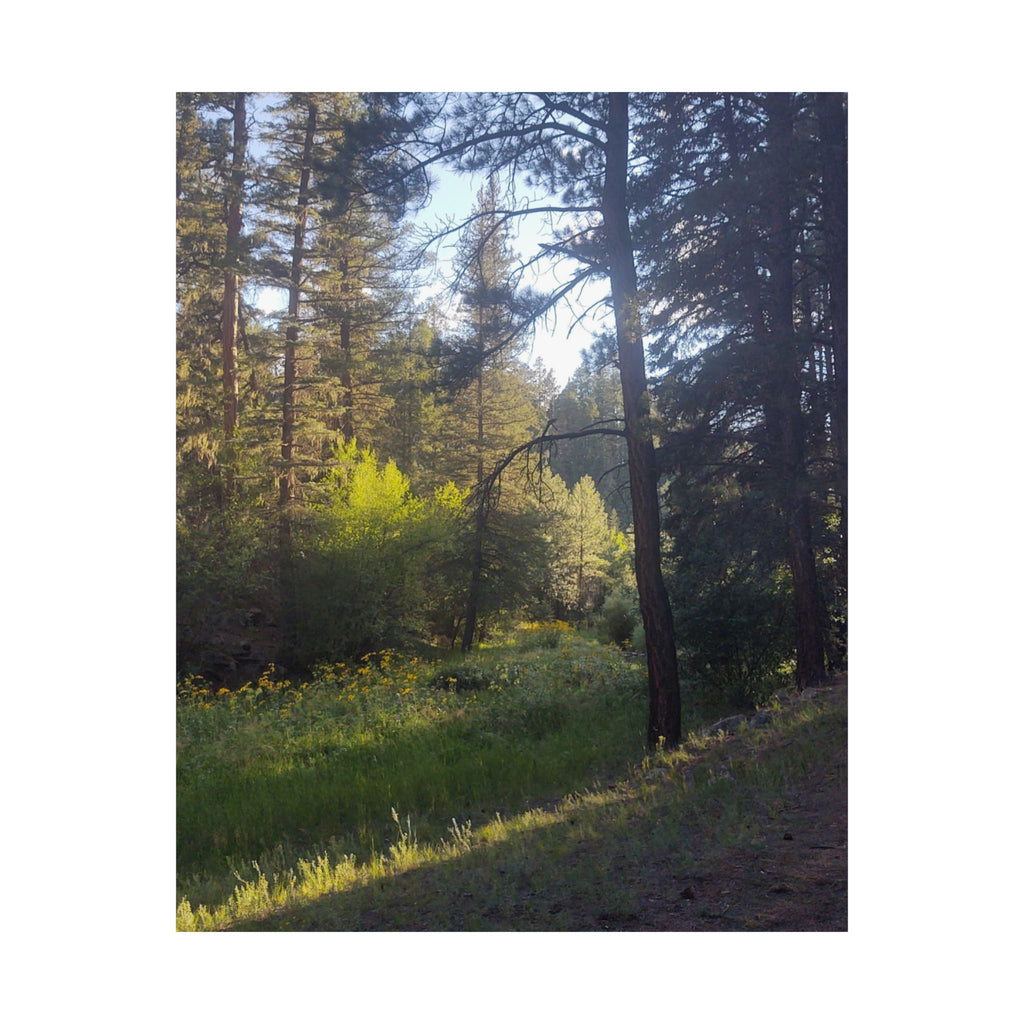 Nature-Inspired Vertical Posters, Scenic Wall Art, Home Décor, Forest Print, Gift for Nature Lovers