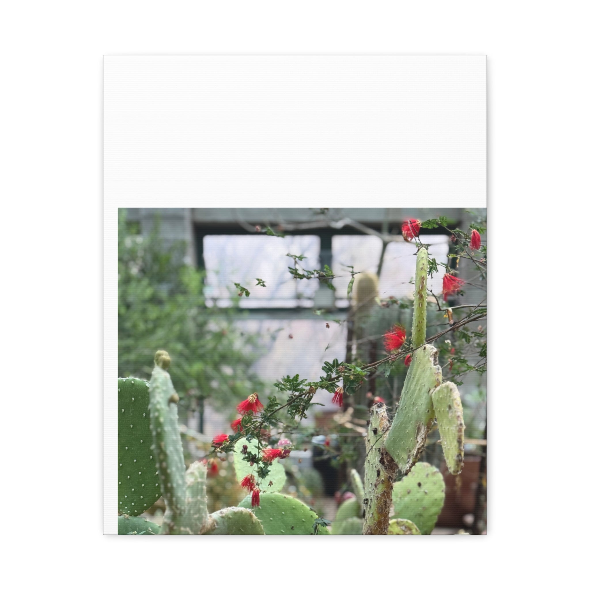 Cactus Wall Art Print, Nature Home Decor, Bohemian Style Artwork, Botanical Gift, Succulent Canvas