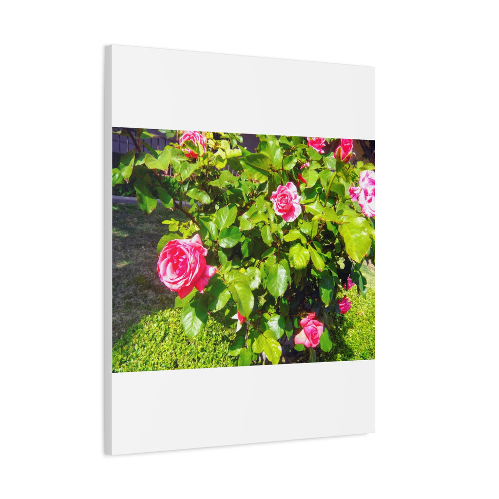 Floral Canvas Wall Art, Pink Rose Decor, Home Gallery Piece, Flower Photography, Garden Wall Decor, Floral Print