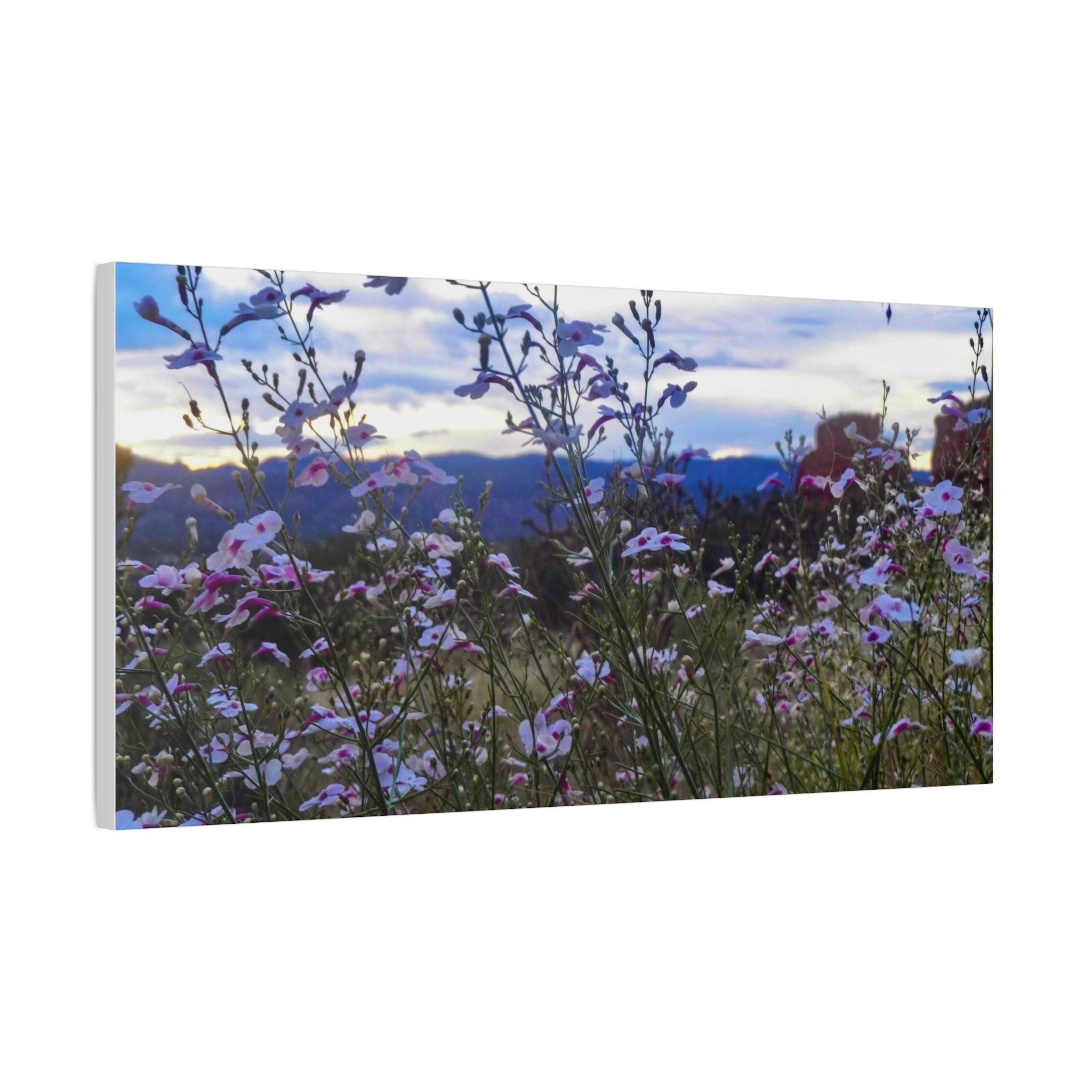 Floral Wall Art Canvas, Nature-Inspired Home Decor, Flower Print, Rustic Living Room, Gift for Gardeners, Boho Wall Art