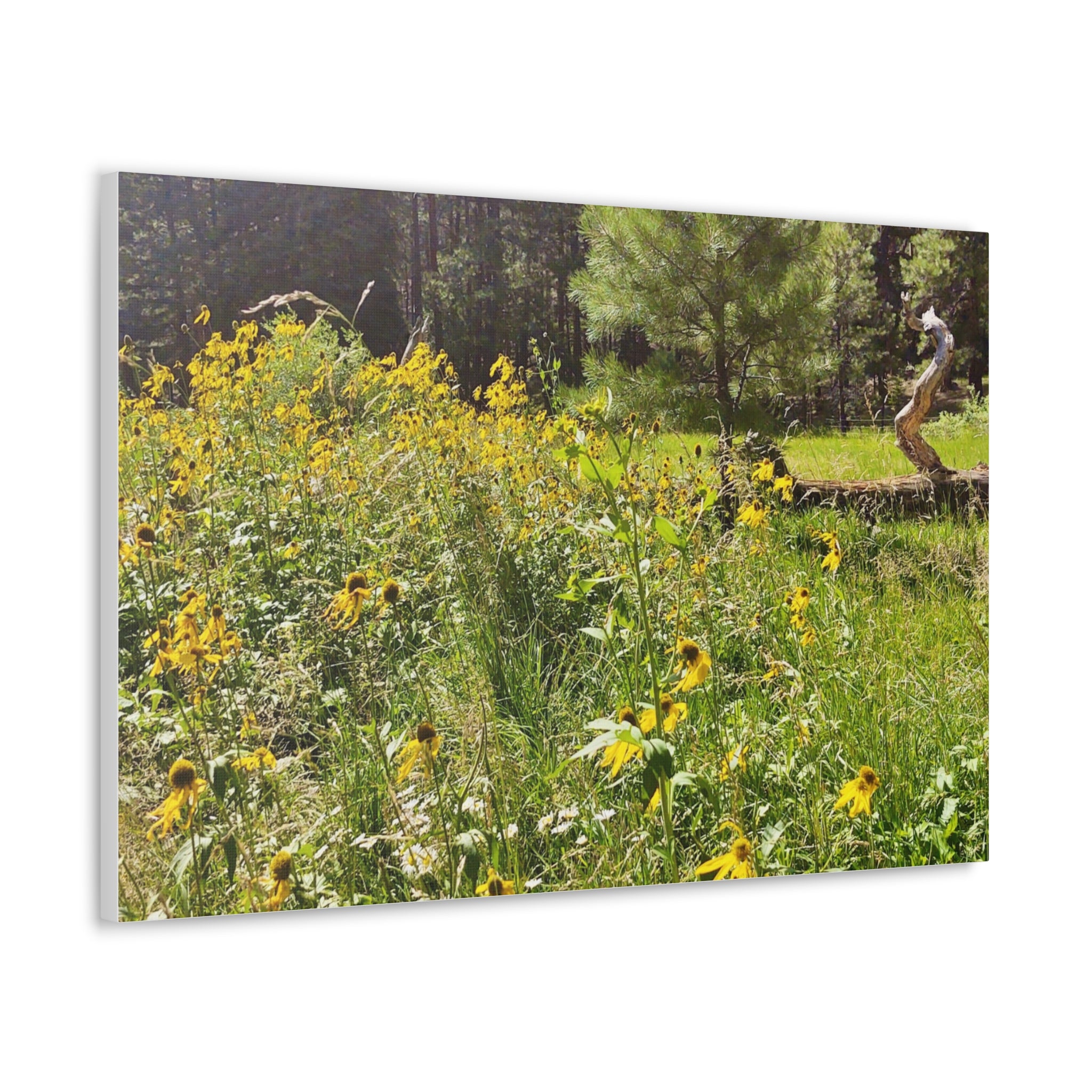 Canvas Wall Art, Nature Photography Decor, Floral Home Decor, Greenery Art Print, Gift for Nature Lovers