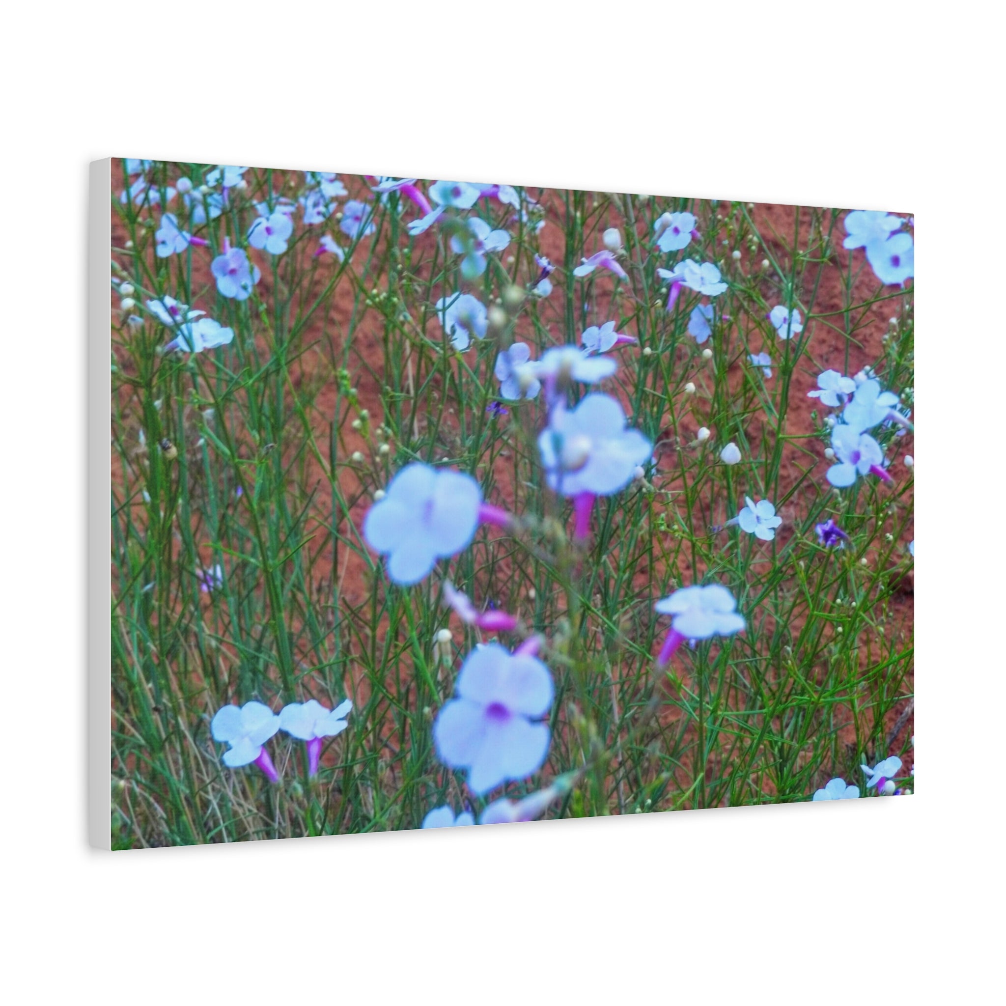 Floral Canvas Wall Art, Home Decor, Wall Hanging, Gift Idea, Nature Art, Flower Print