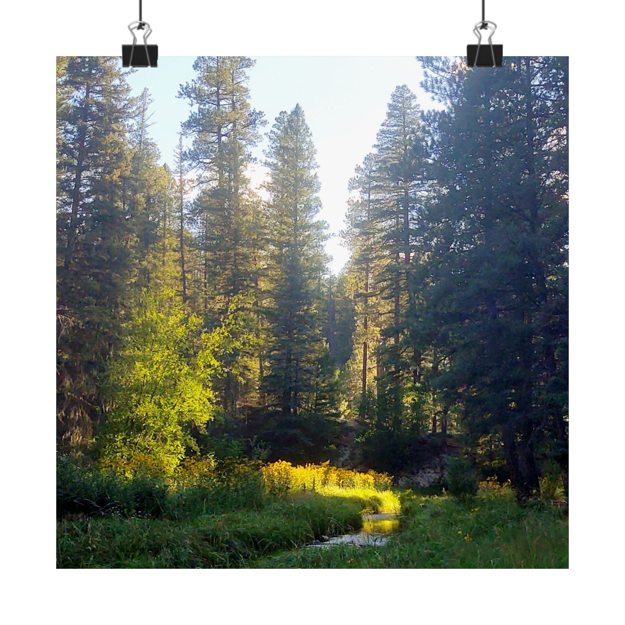 Serene Nature Poster, Wall Art Print, Forest Decor, Botanical Photography, Home Office Artwork