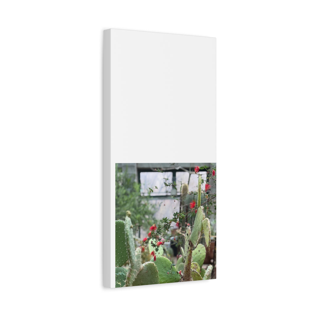 Cactus Wall Art Print, Nature Home Decor, Bohemian Style Artwork, Botanical Gift, Succulent Canvas