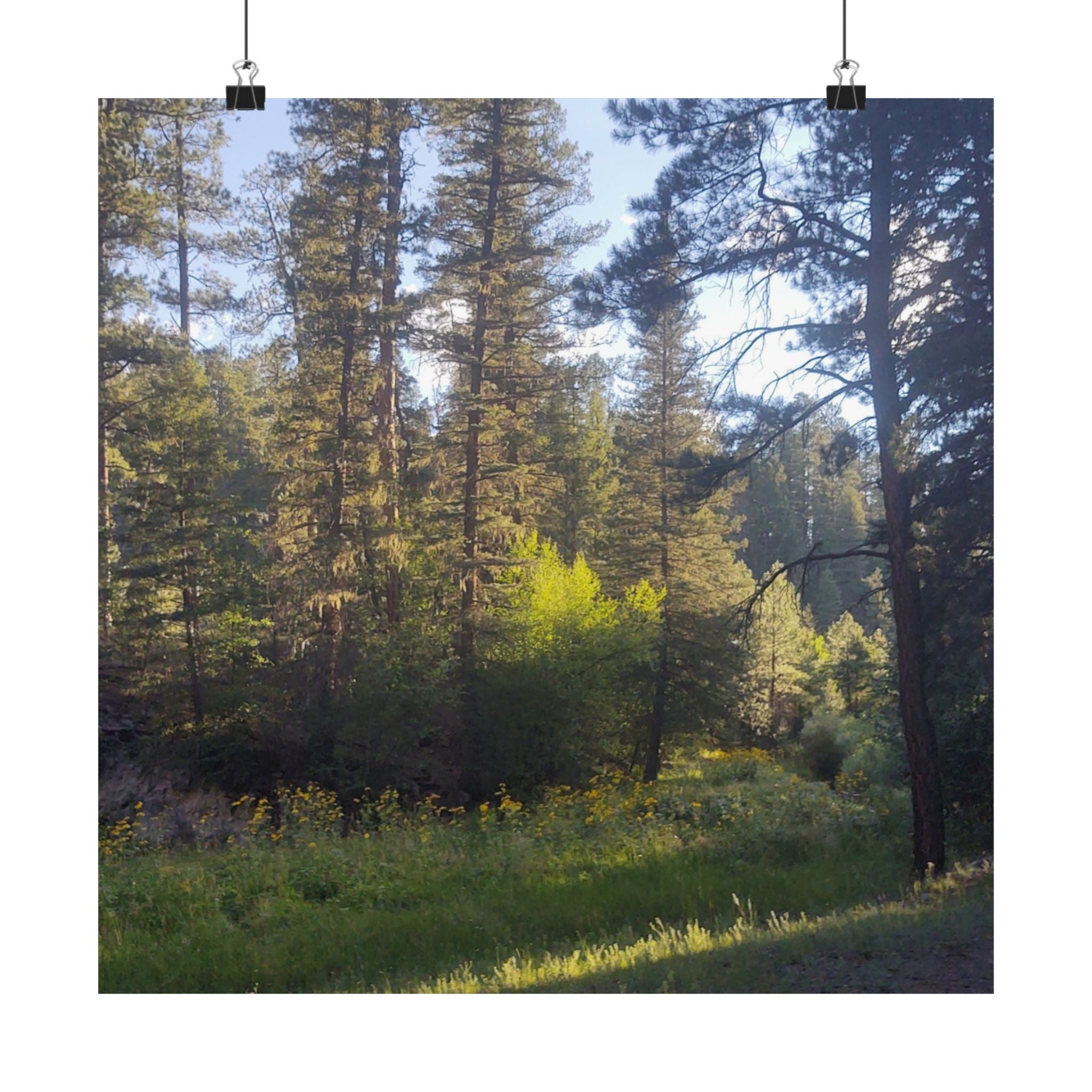 Nature-Inspired Matte Vertical Posters, Forest Wall Art, Home Décor, Greenery Prints, Gifts for Nature Lovers, Nature Photography