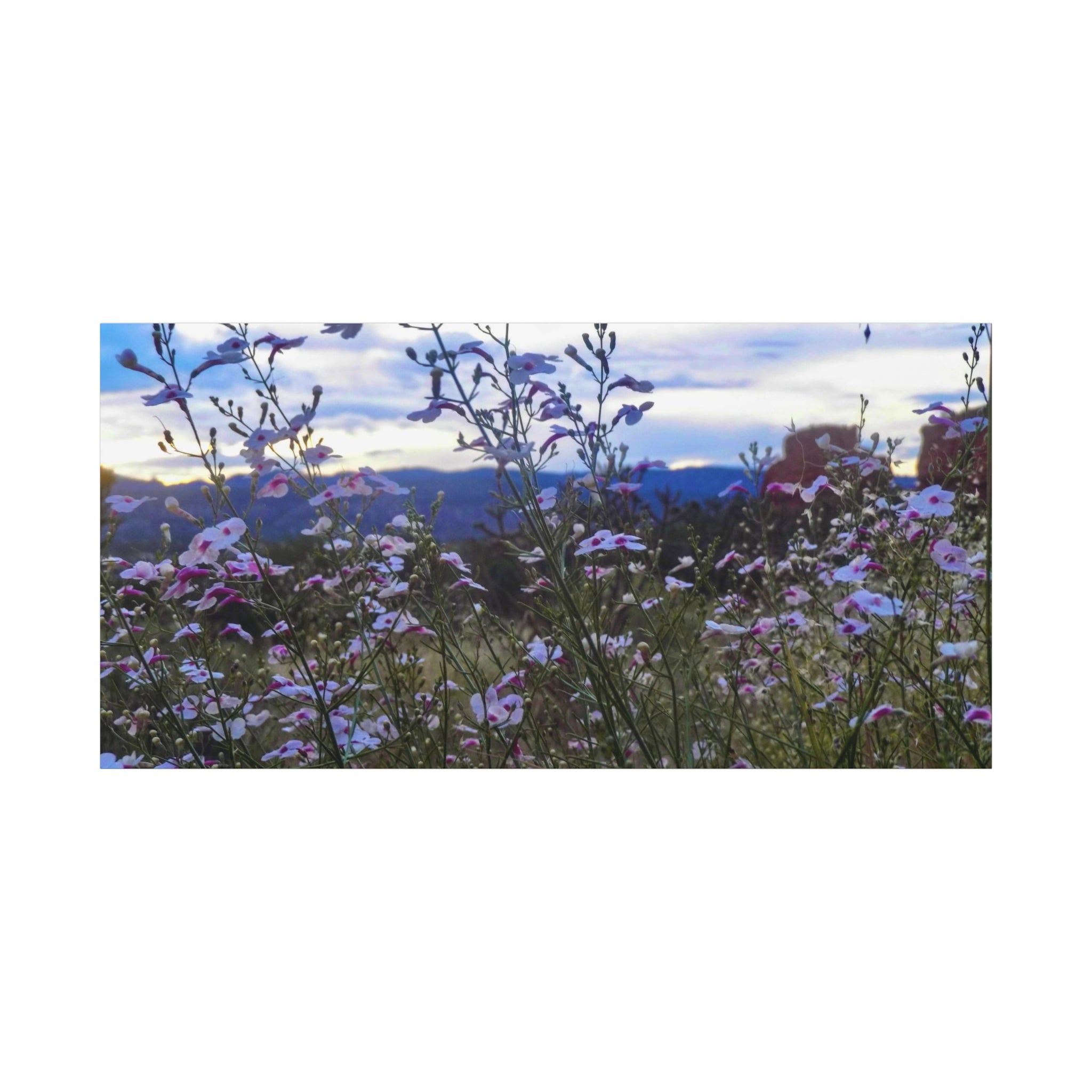 Floral Wall Art Canvas, Nature-Inspired Home Decor, Flower Print, Rustic Living Room, Gift for Gardeners, Boho Wall Art