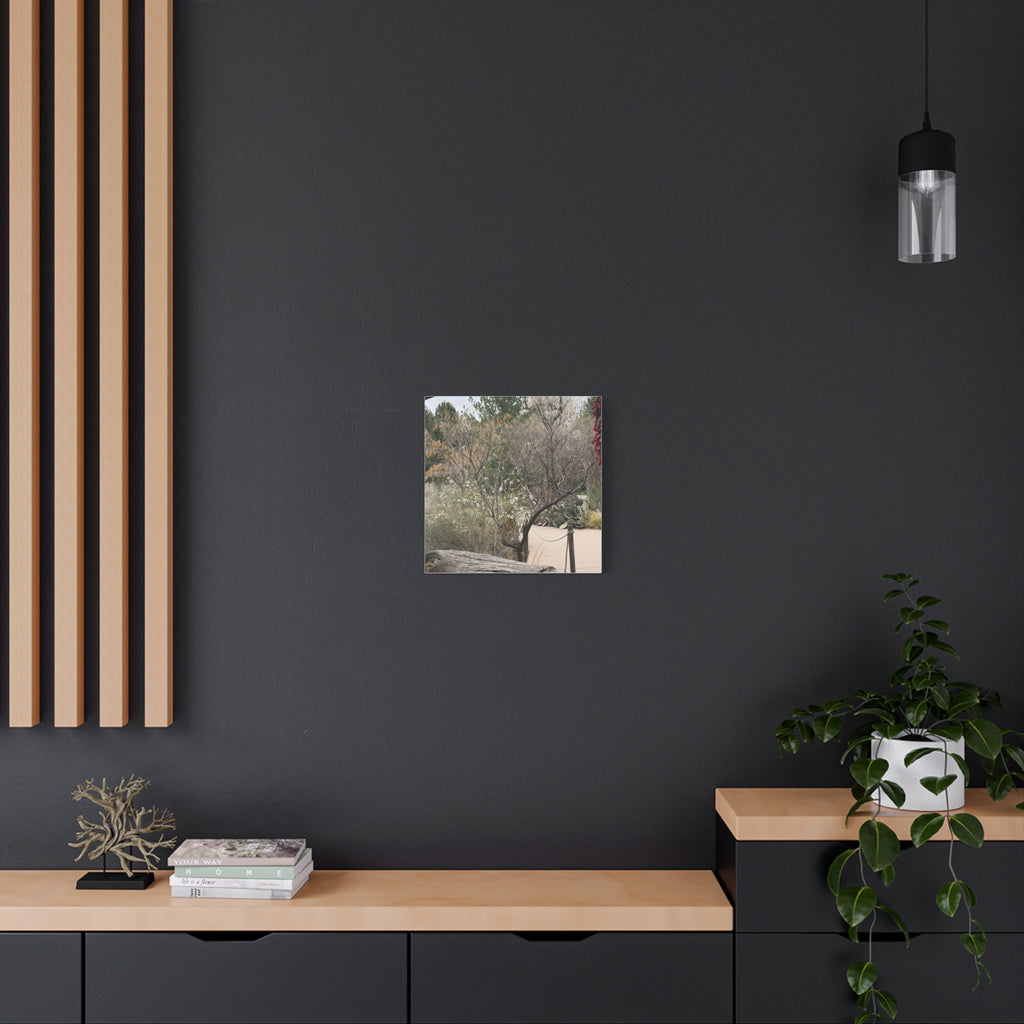 Classic Canvas Art Print, Bohemian Decor, Nature Wall Art, Home Gallery, Rustic Wall Decoration