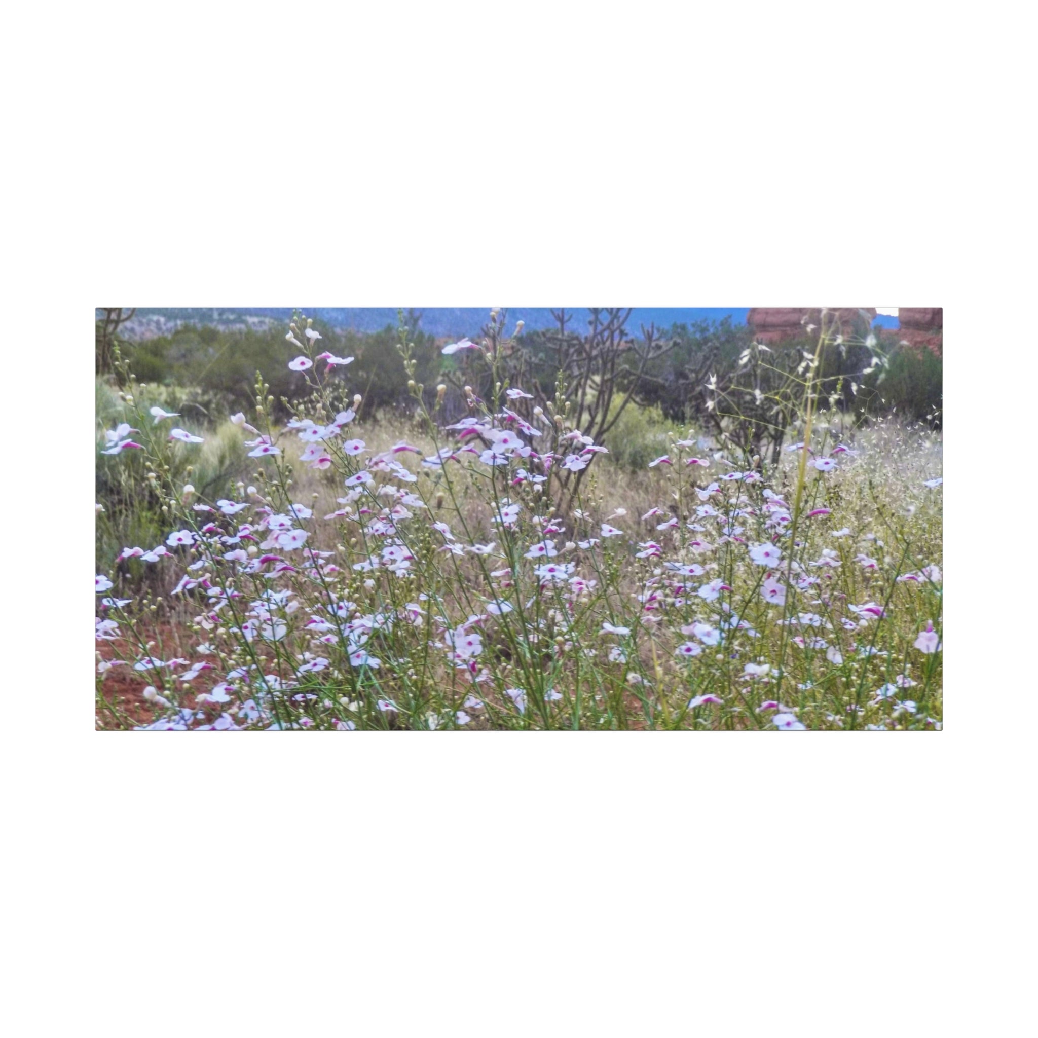 Floral Canvas Art Print, Nature Decor for Home, Wall Art for Office, Gift for Garden Lovers, Botanical Wall Decor, Spring Vibes