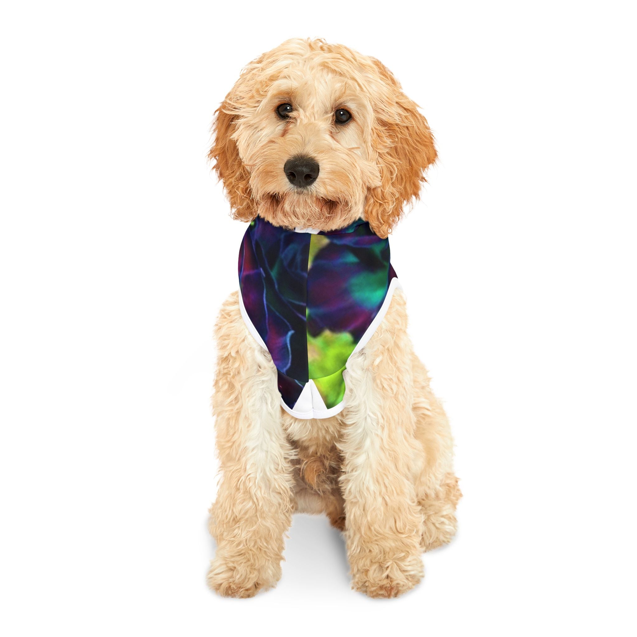 Vibrant Floral Pet Hoodie, Dog Sweater, Cute Pet Apparel, Stylish Puppy Outfit, Cozy Cat Clothes, Flower Design Hoodie