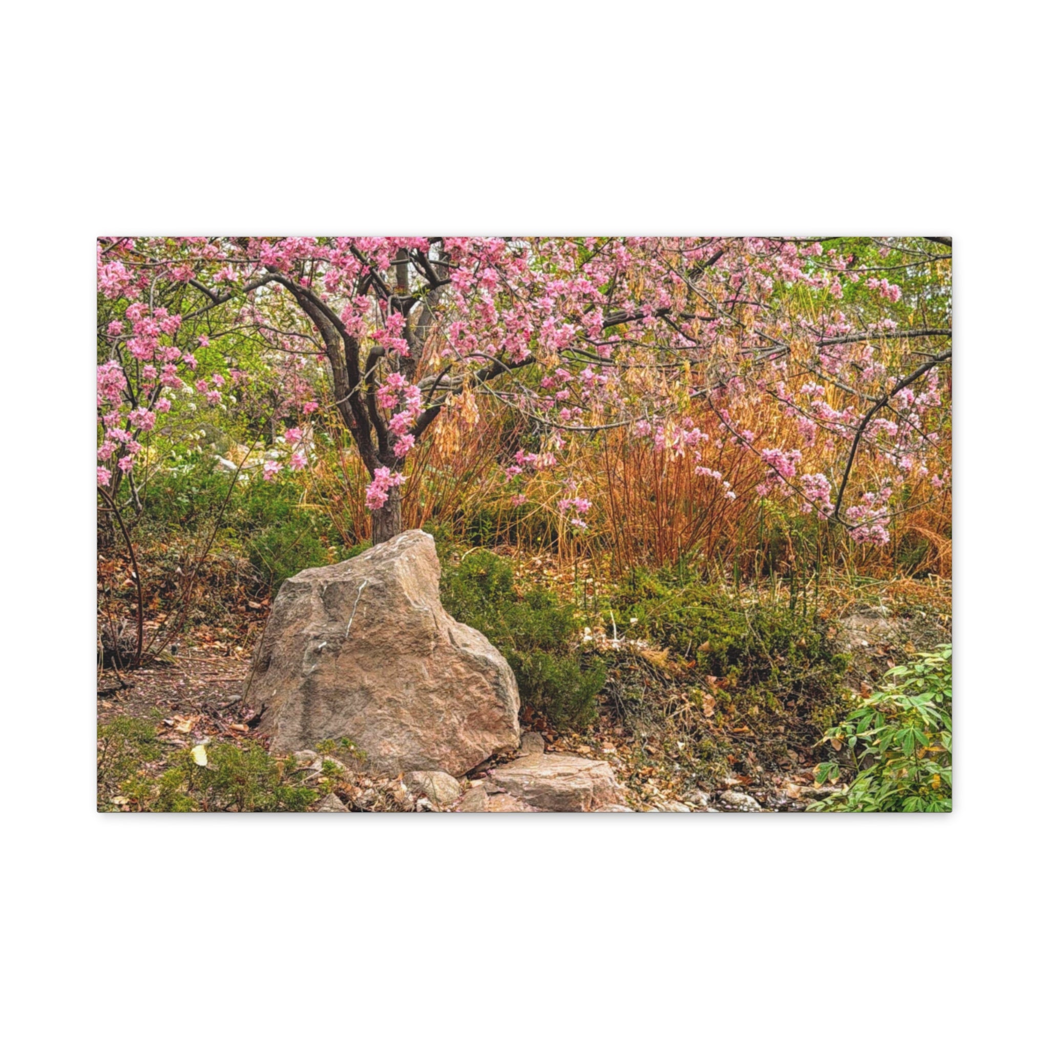 Canvas Wall Art, Pink Blossom Landscape Decor, Nature Photograph, Floral Print, Spring Home Decor, Gift for Nature Lovers