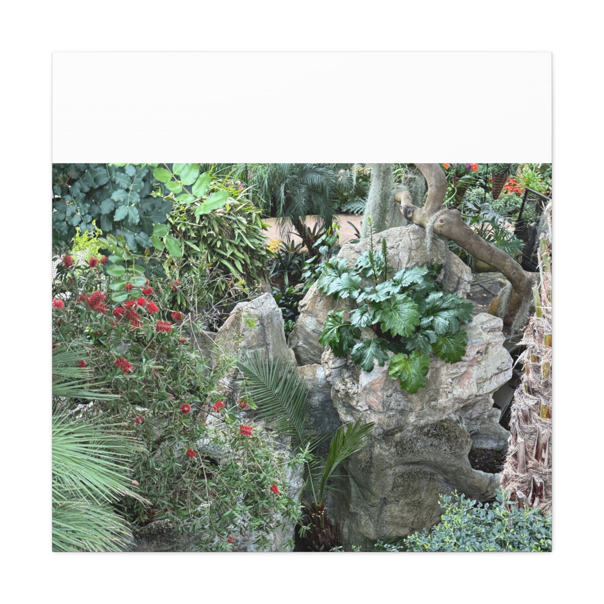 Garden Landscape Canvas Wall Art, Nature Decor, Home Decoration, Gift for Nature Lovers, Eco-Friendly Art, Botanical Wall Decor