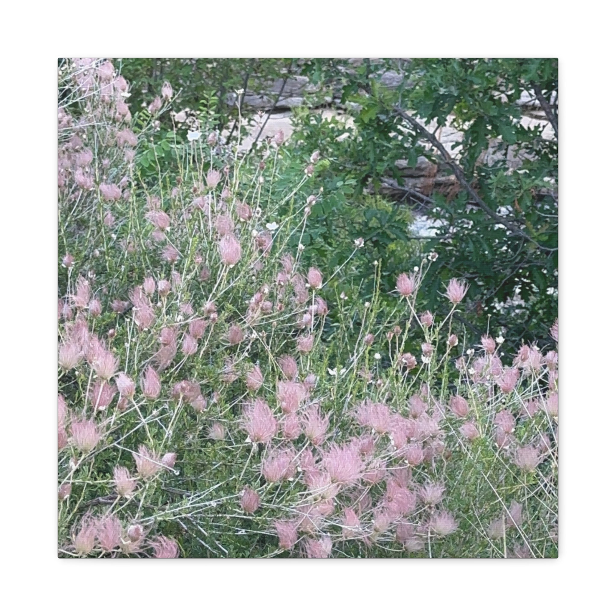 Floral Wall Art Canvas, Home Decor, Nature Lover Gift, Botanical Print, Spring Decor, Mother’s Day