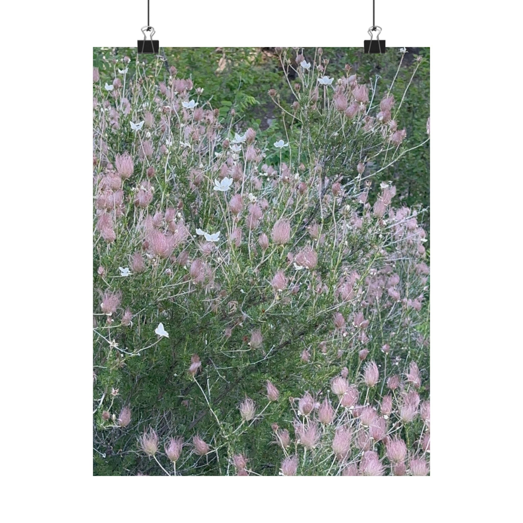 Botanical Vertical Art Print, Pink Floral Poster for Home Decor, Flower Wall Art, Nature-Inspired Artwork, Gift for Garden Lovers