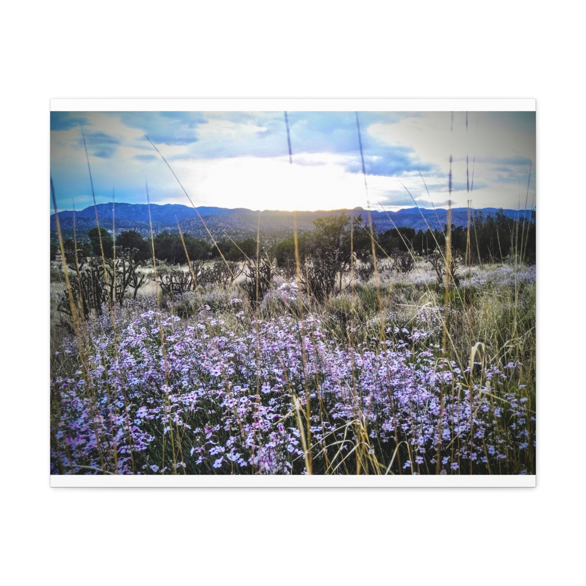 Framed Botanical Wall Art, Floral Canvas Print, Nature Decor, Home Interior Art, Gift for Garden Lovers, Beautiful Flower Landscape