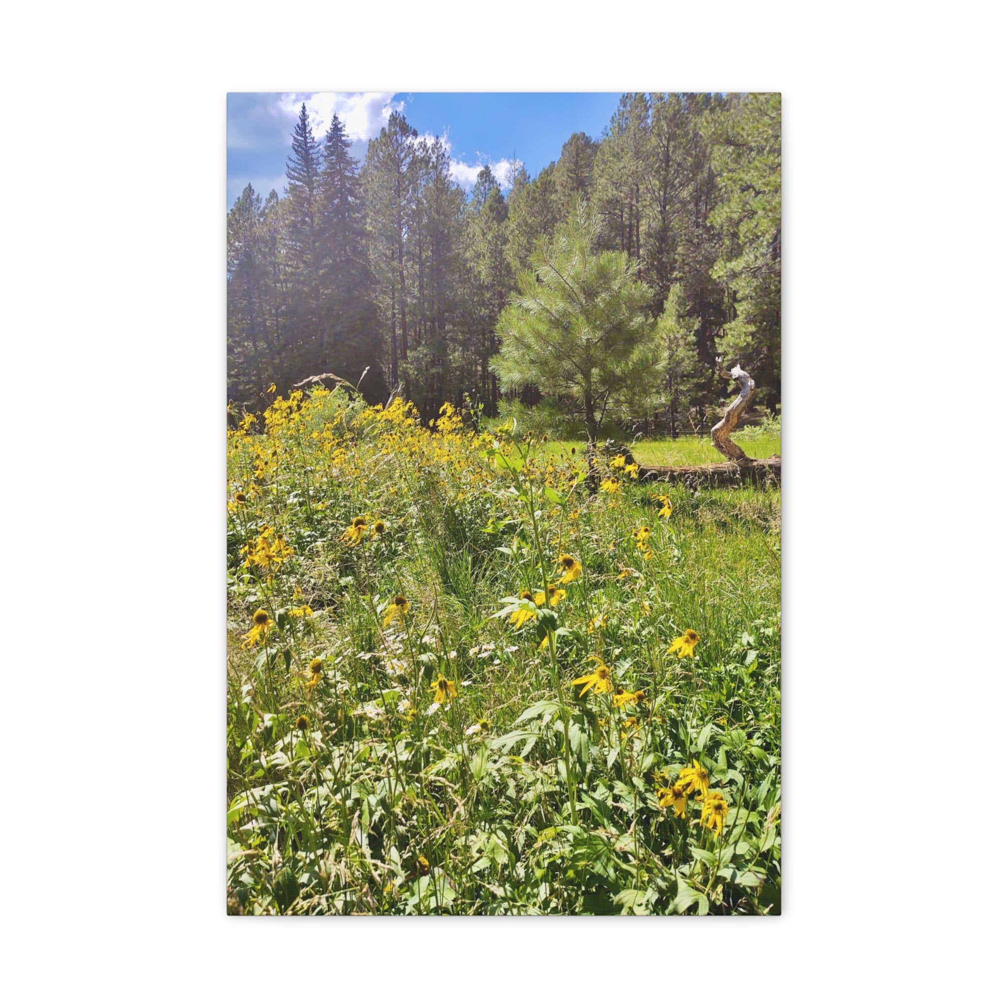 Canvas Wall Art, Nature Photography Decor, Floral Home Decor, Greenery Art Print, Gift for Nature Lovers