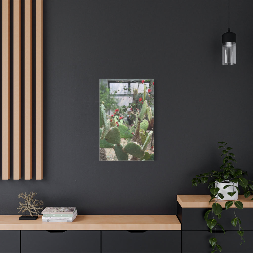Cactus Artwork Print, Botanical Wall Decor, Succulent Canvas, Nature Lover Gift, Home Decoration